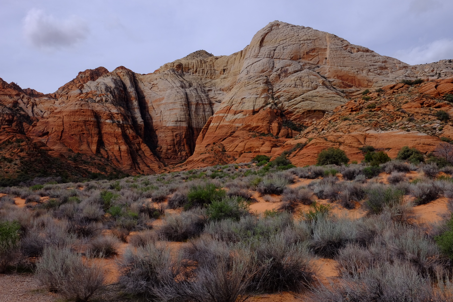 Snow Canyon State Park
