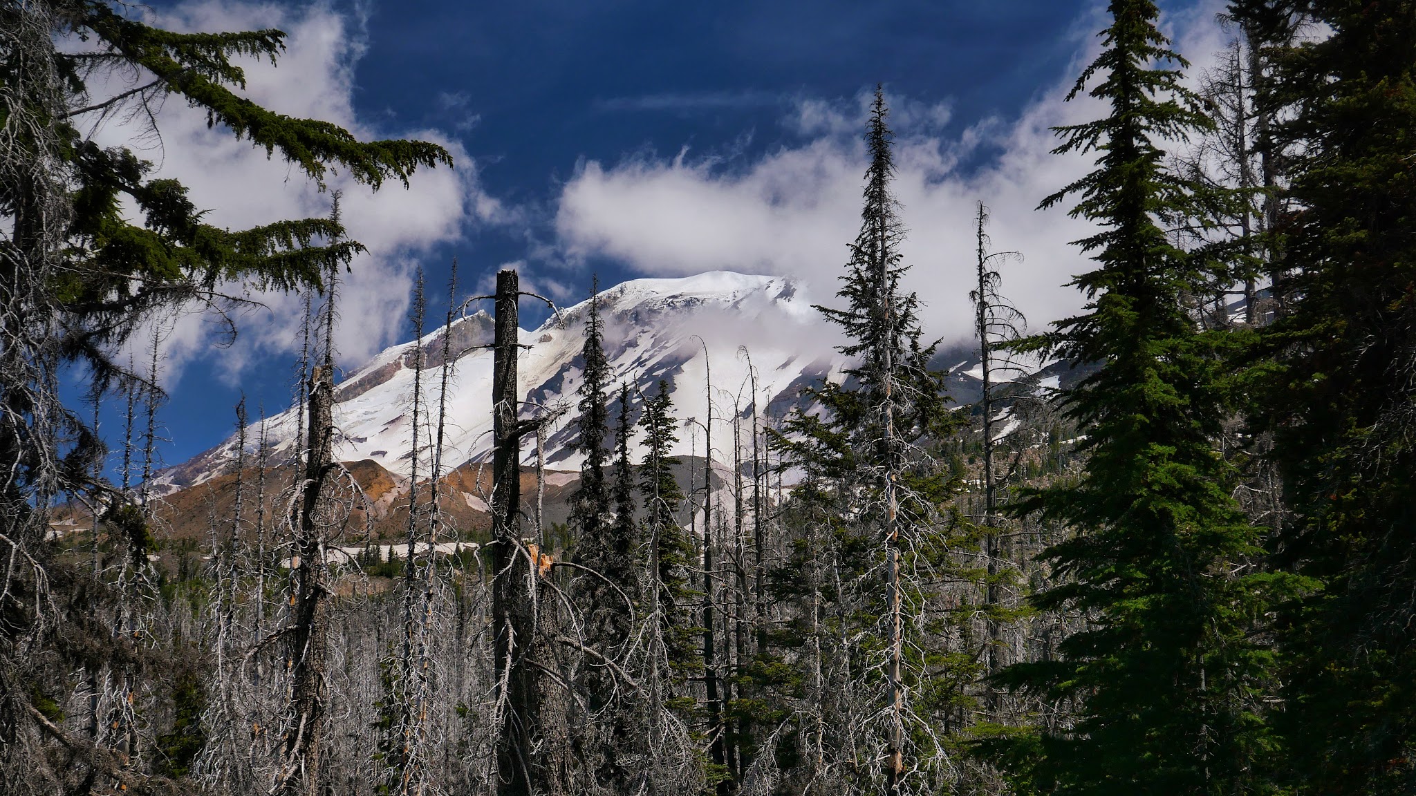 Campground: Morrison Creek