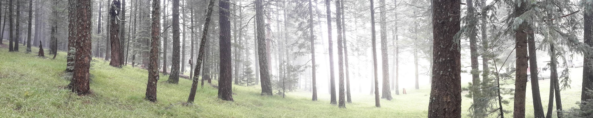 Snow Flat Dispersed Camping Area