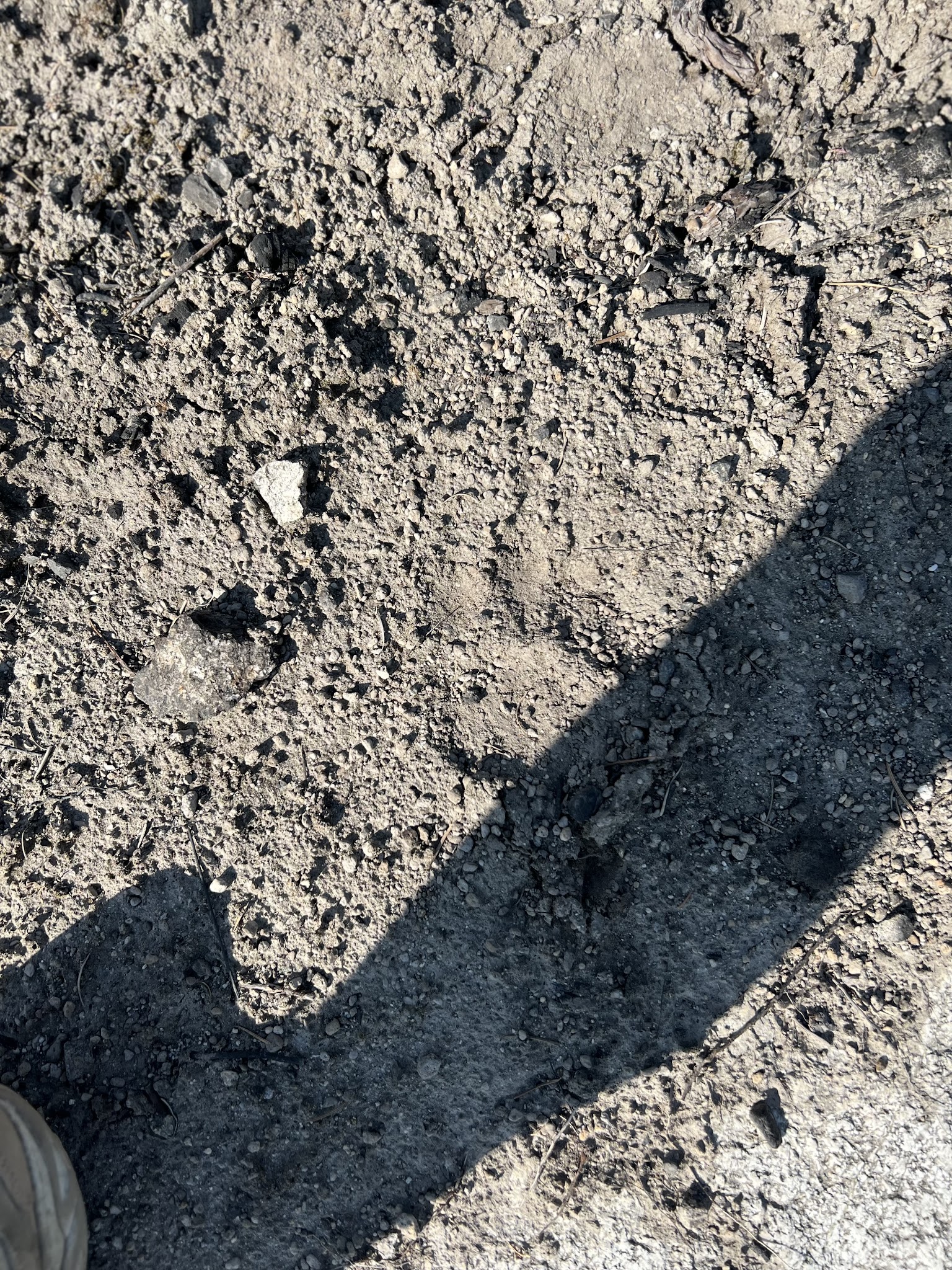 Snowberry Bowl Campground