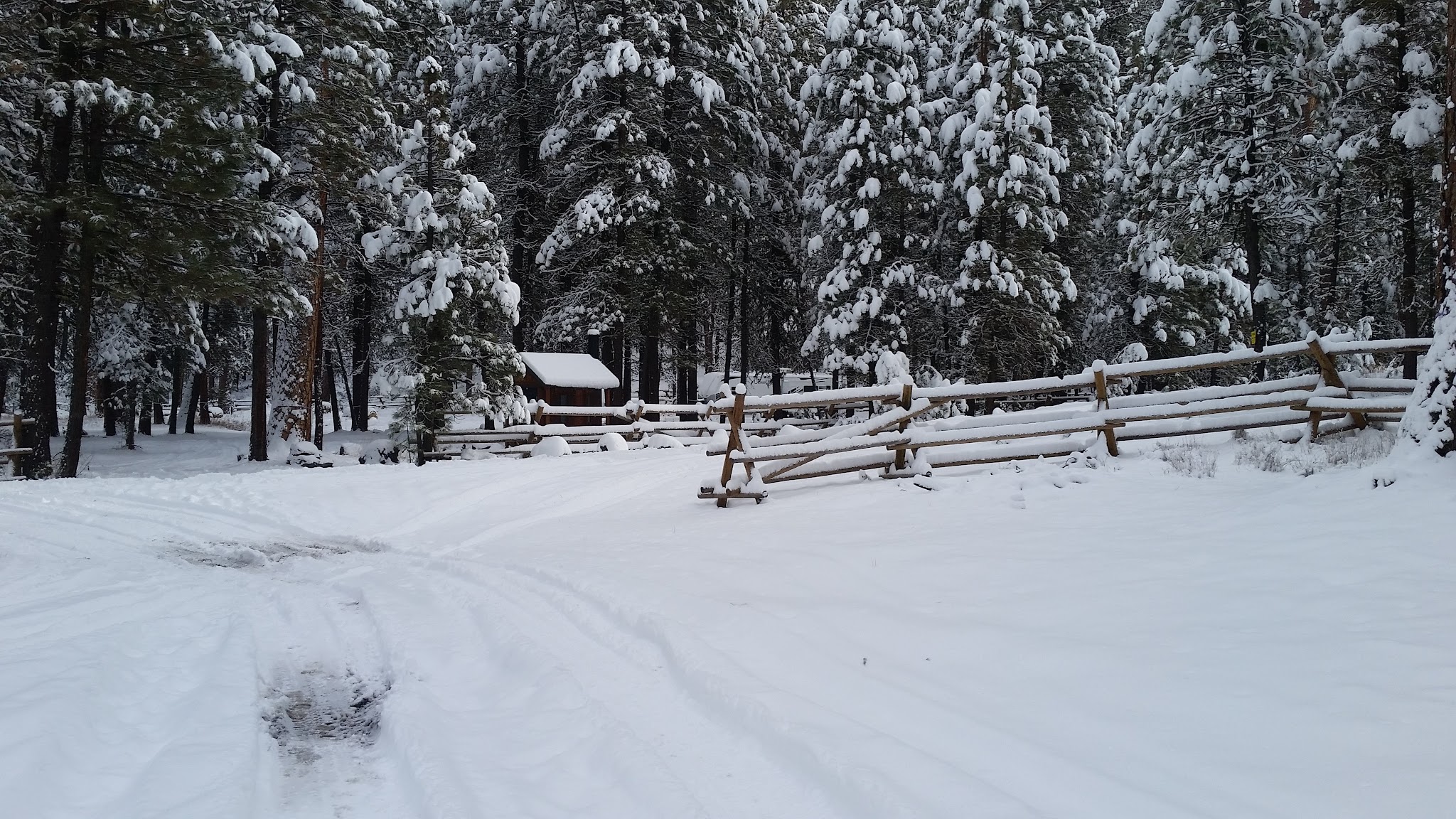 Buck Spring Campground