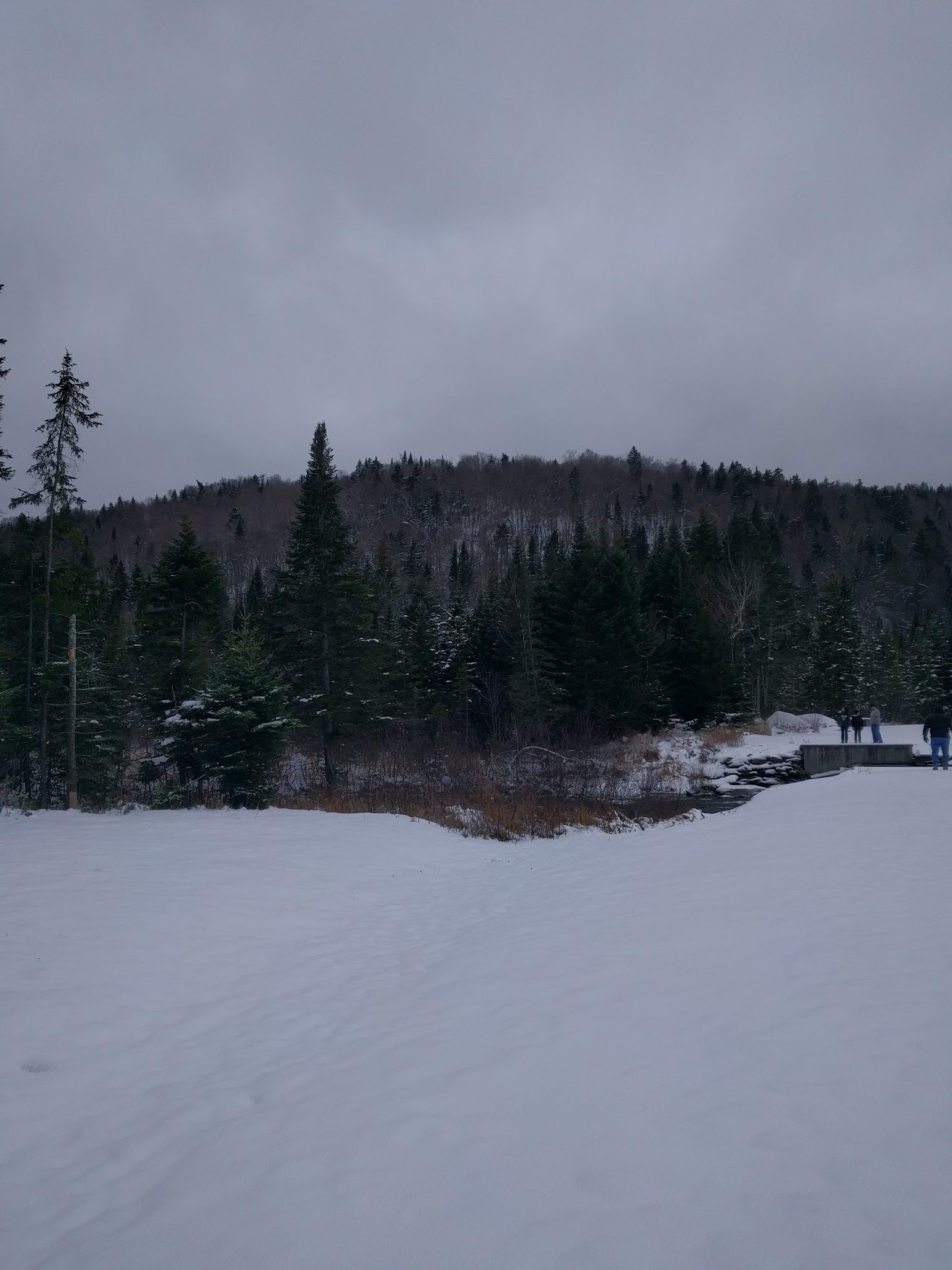 Deer Mountain Campground