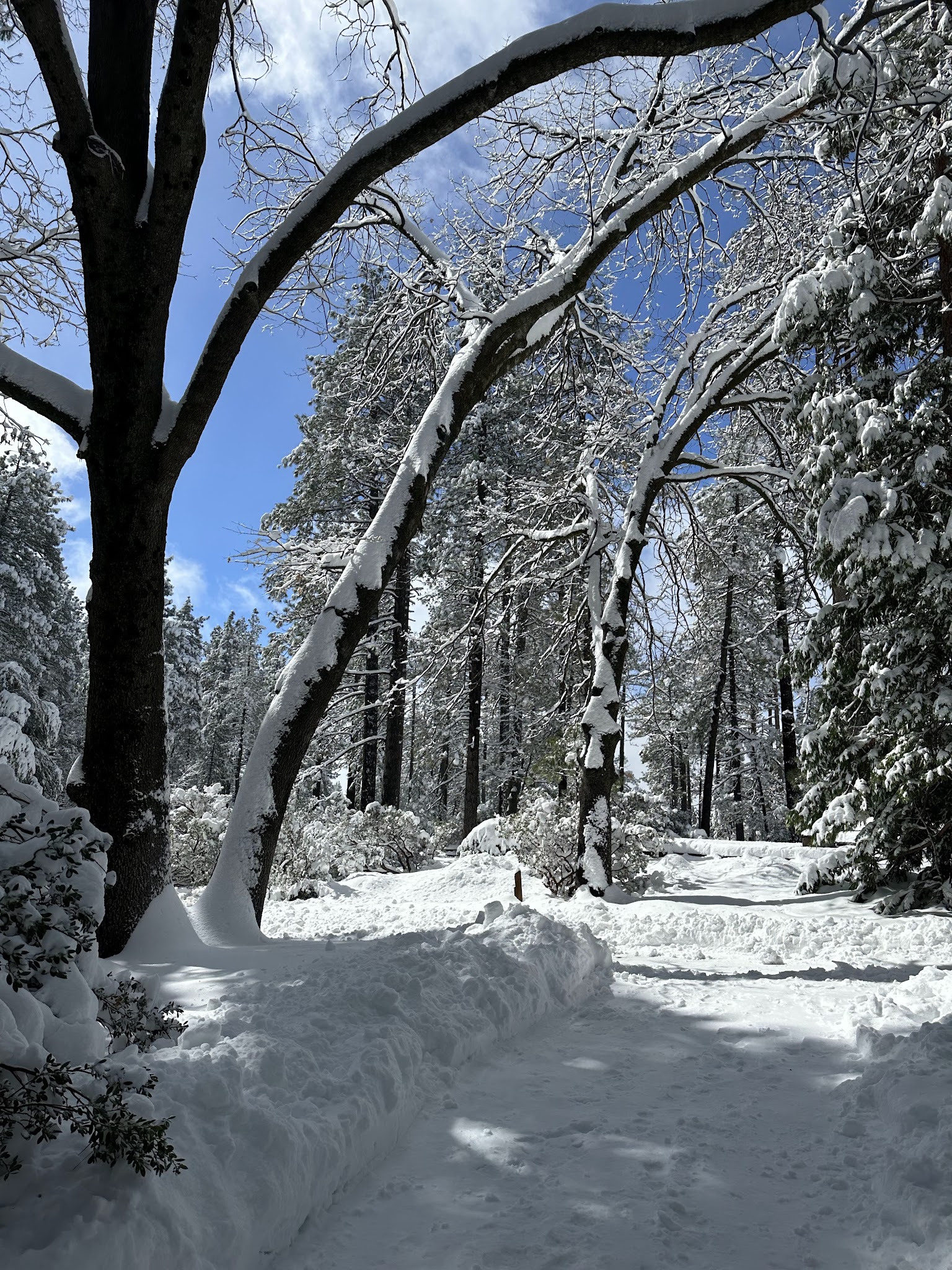 Idyllwild Campground