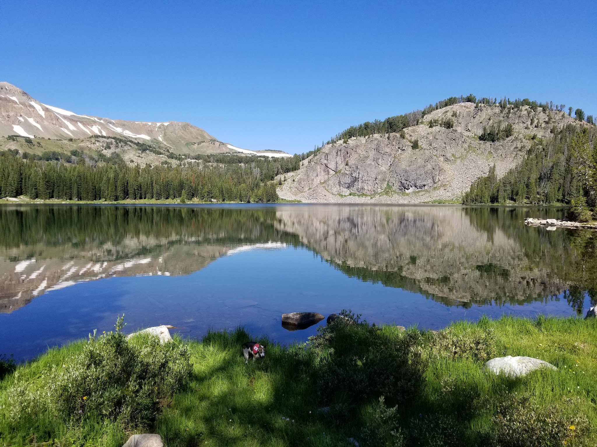 Soda Butte Campground