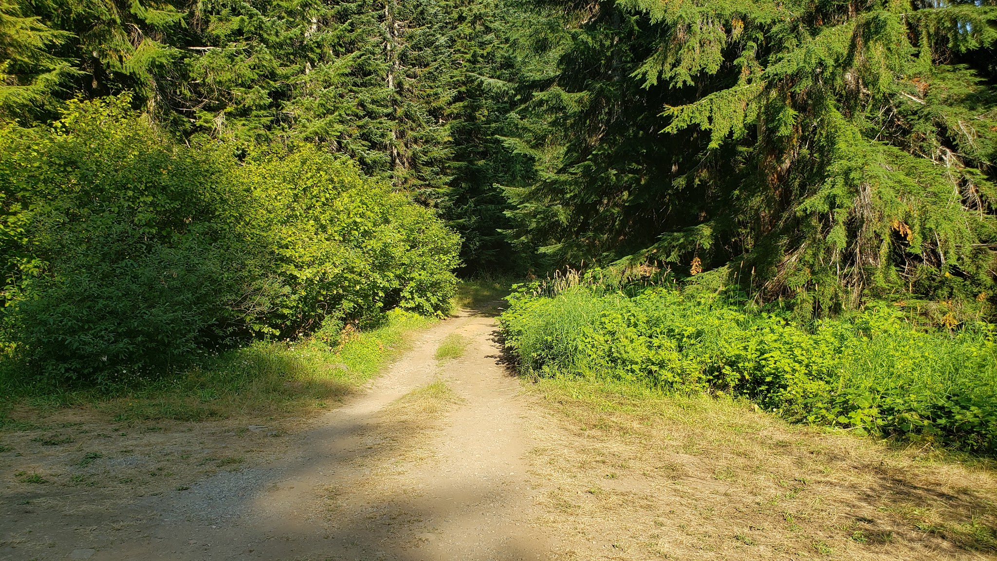 Campground: Soda Spring