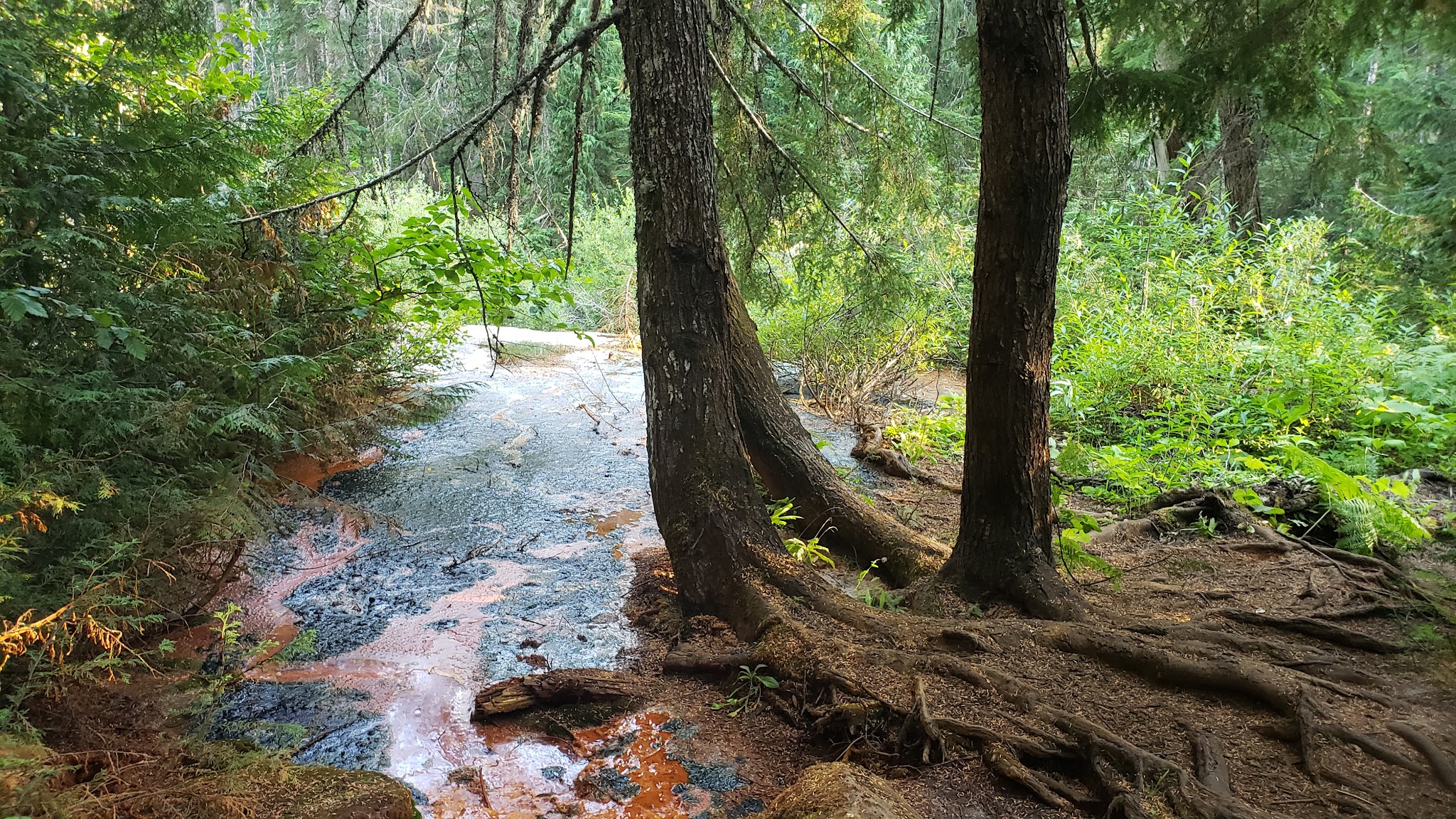 Campground: Soda Spring