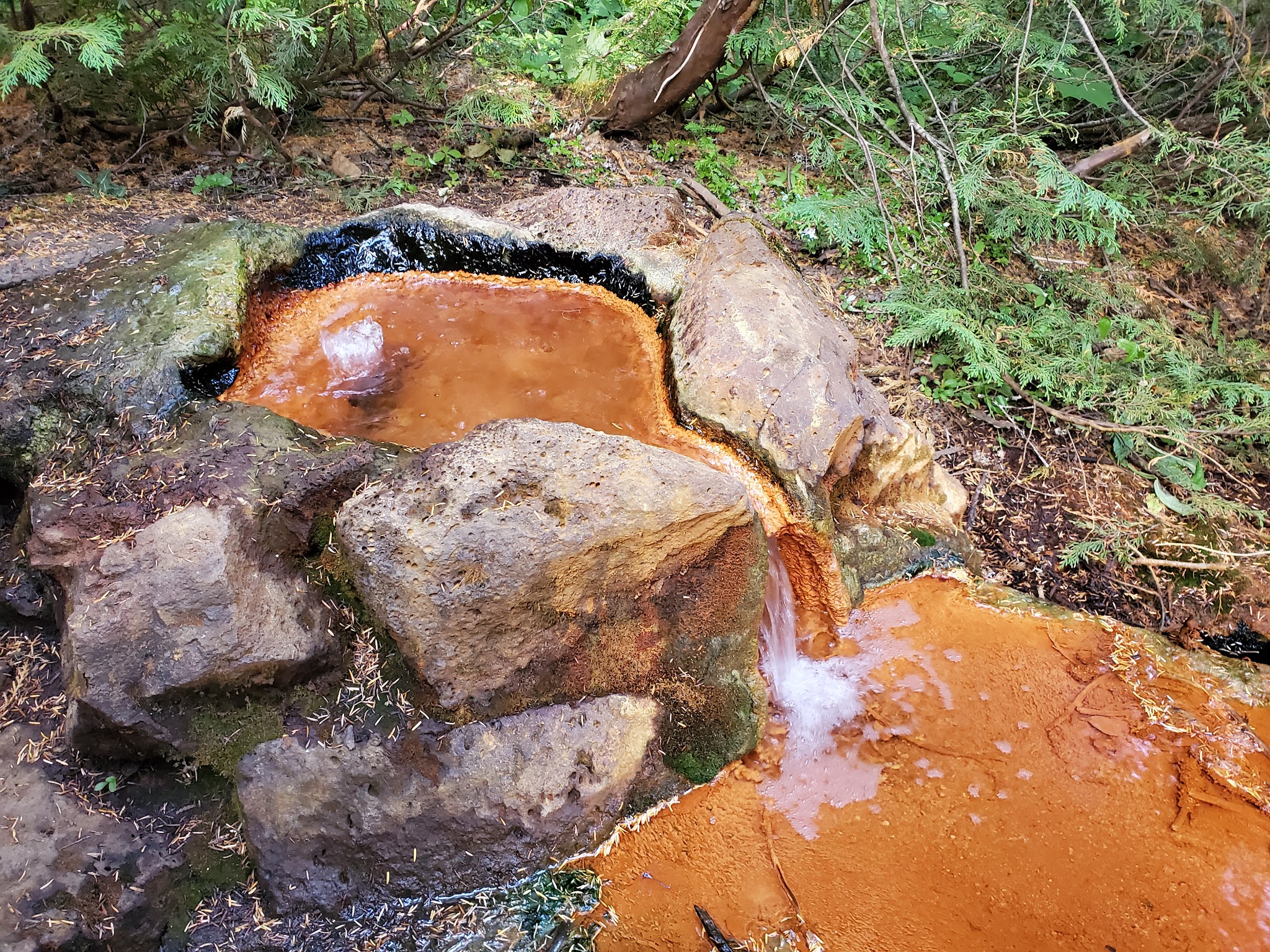 Campground: Soda Spring