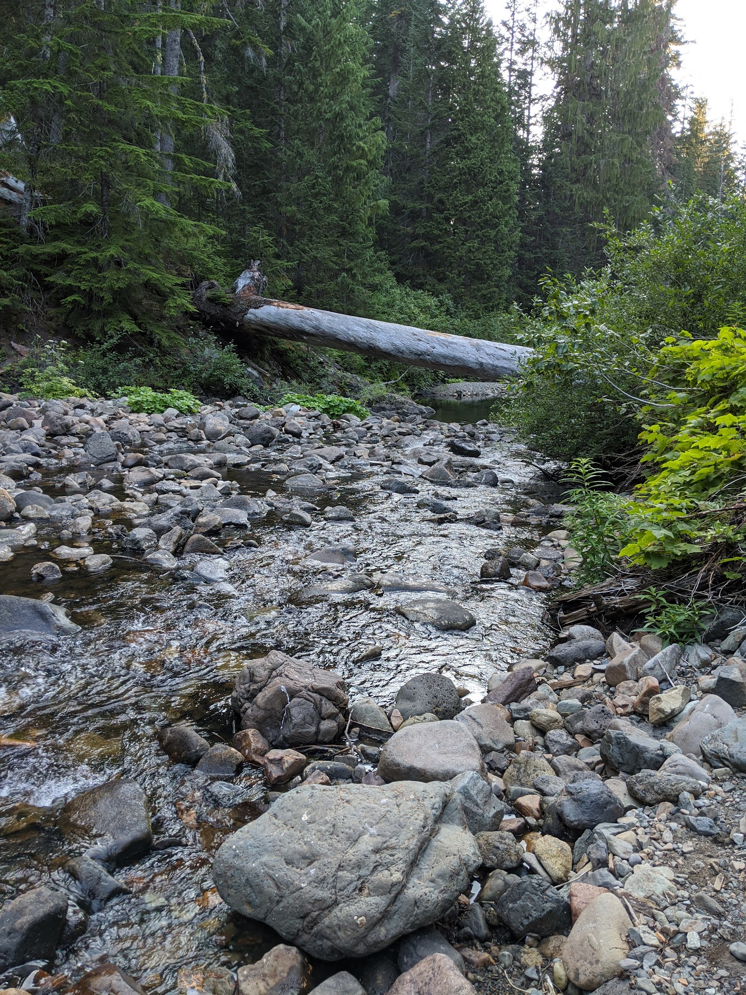 Campground: Soda Spring