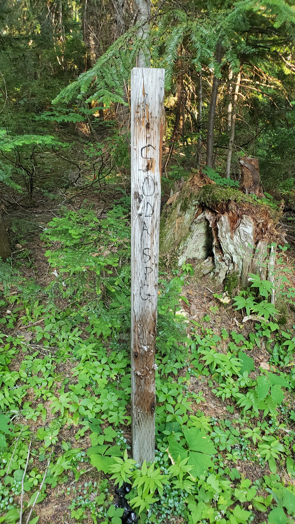 Campground: Soda Spring