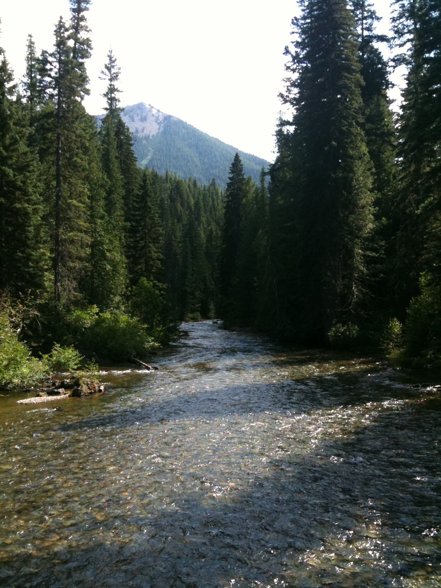 Soda Springs Campground (Bumping River, Wa)