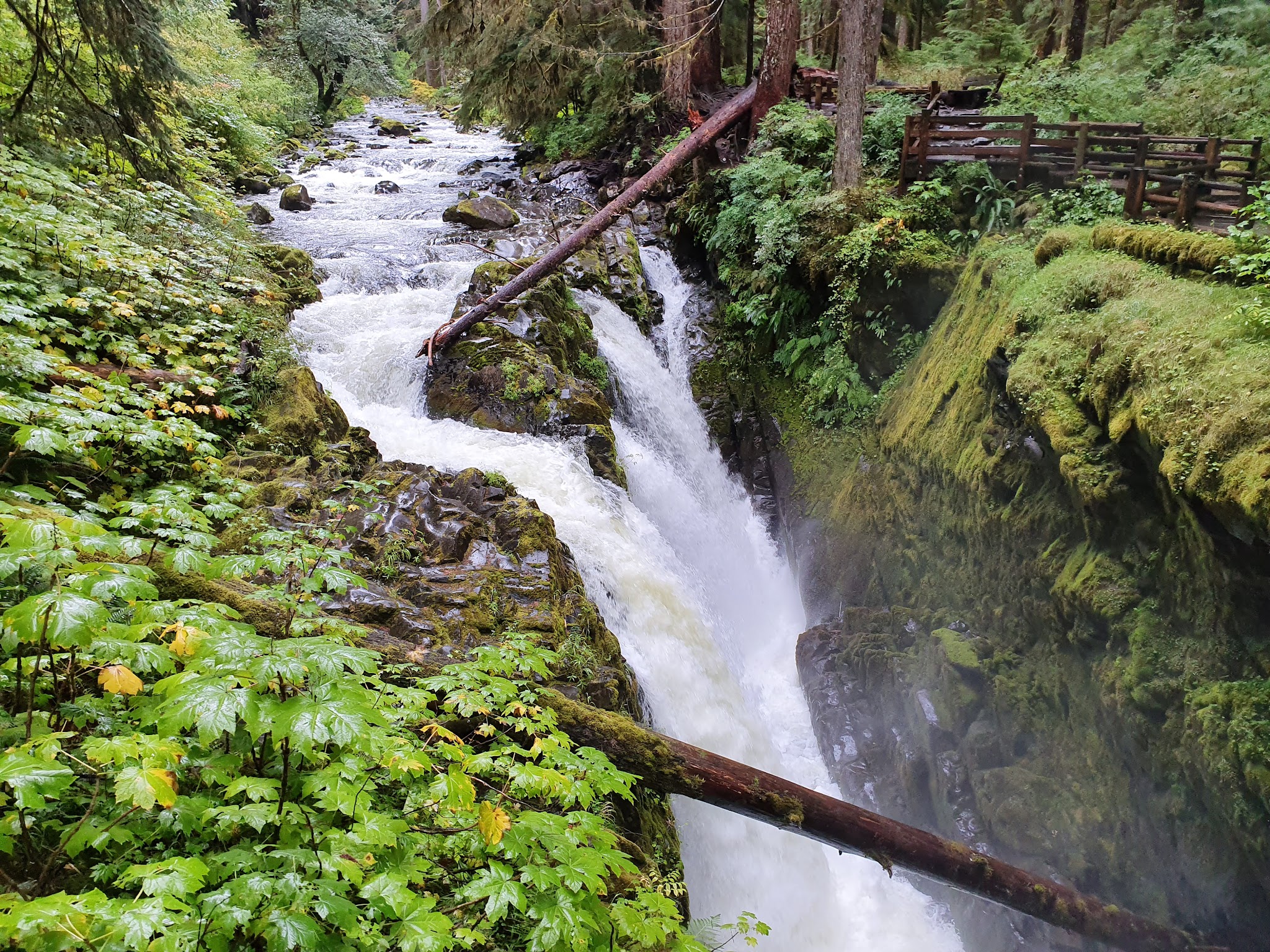 Sol Duc Hot Springs Resort Campground