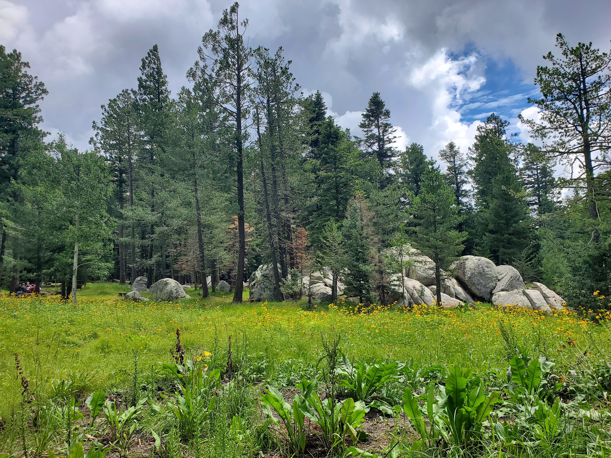 Soldier Creek Campground