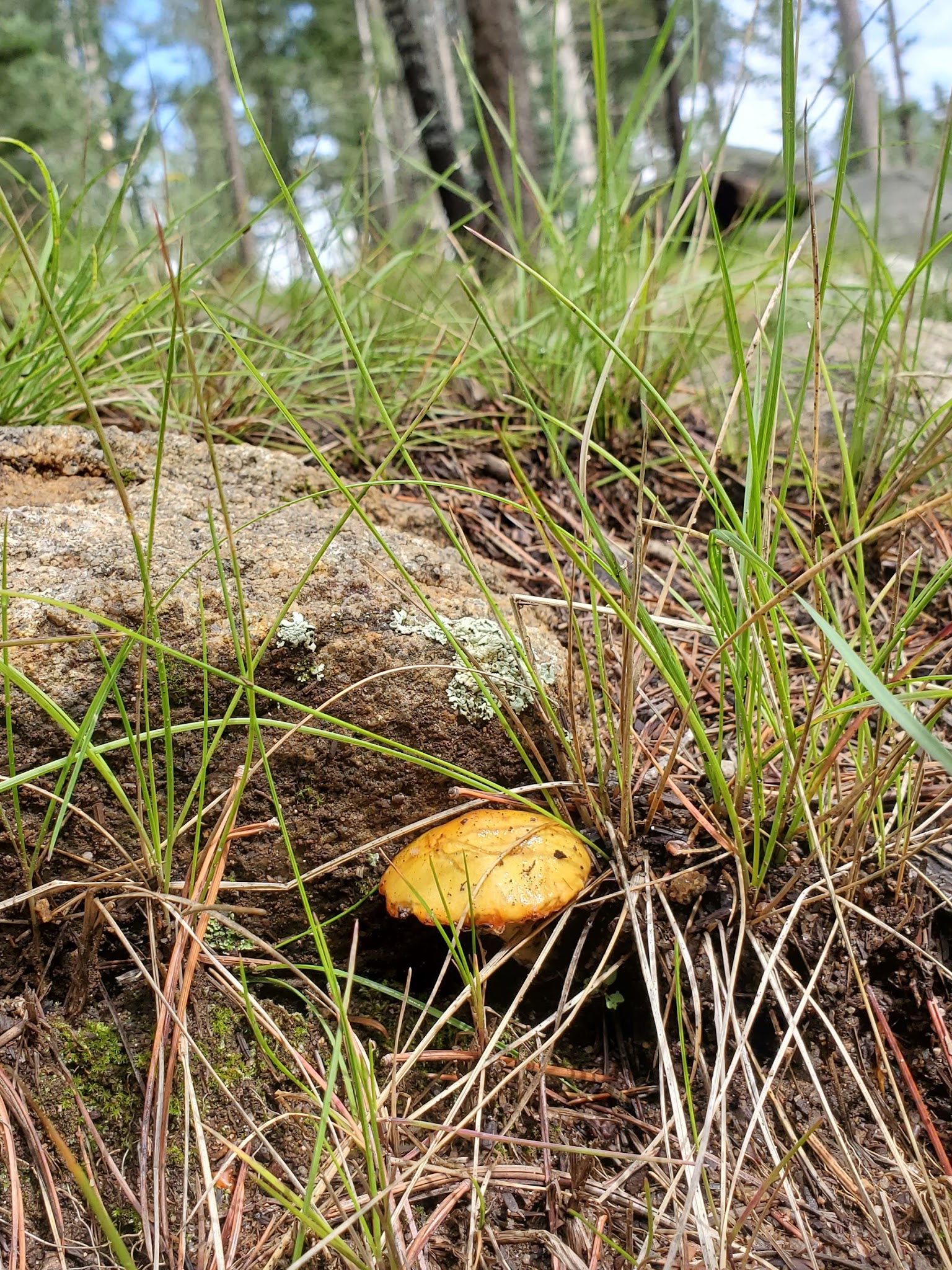 Soldier Creek Campground