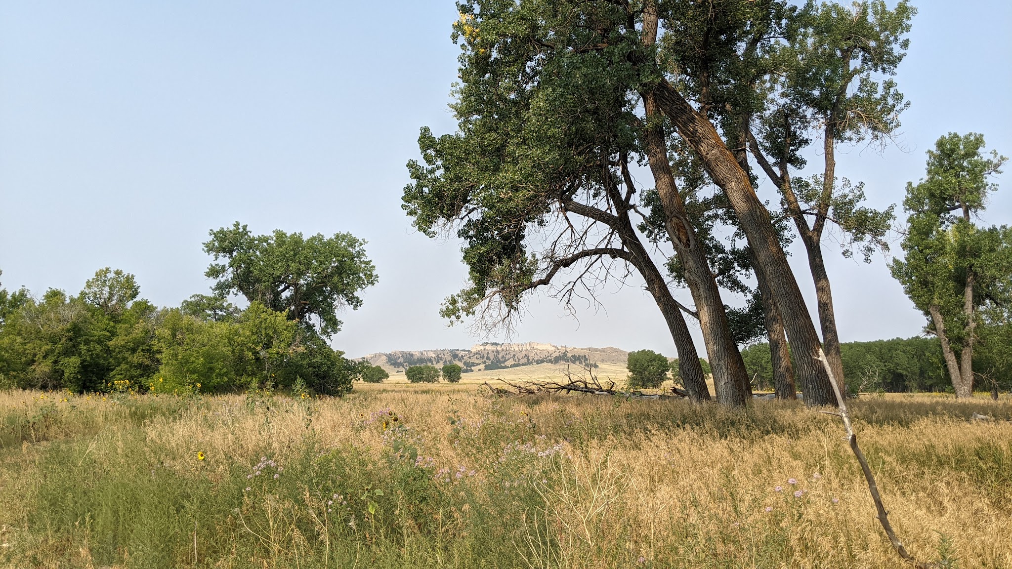 Soldier Creek Campground