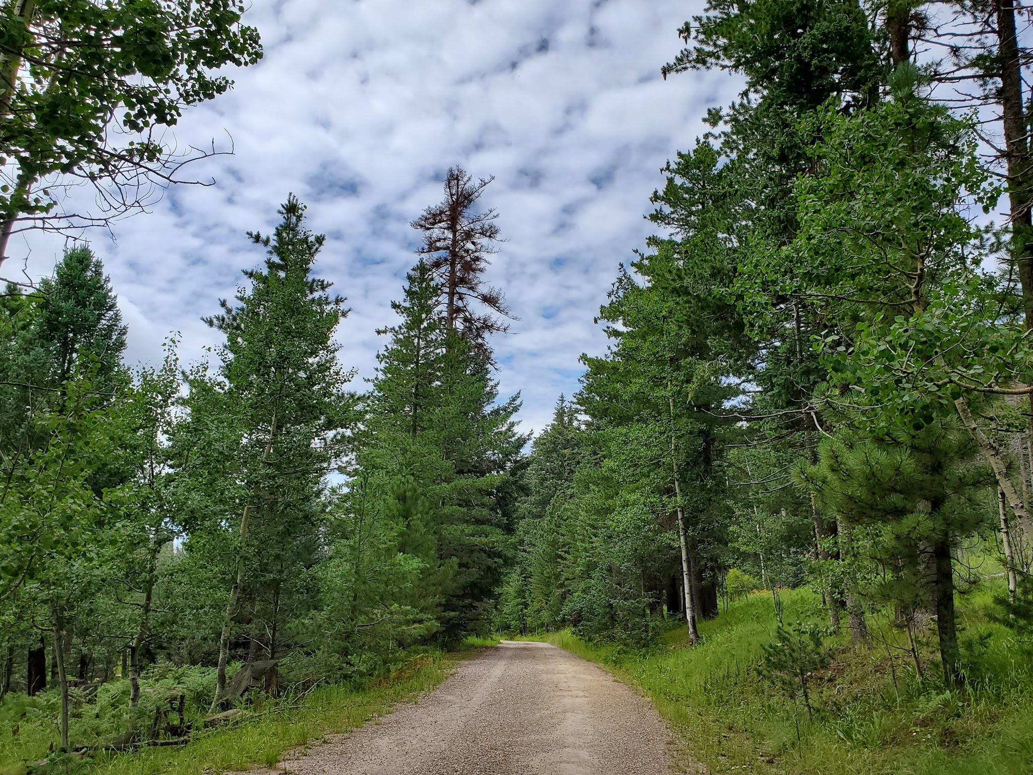 Soldier Creek Campground