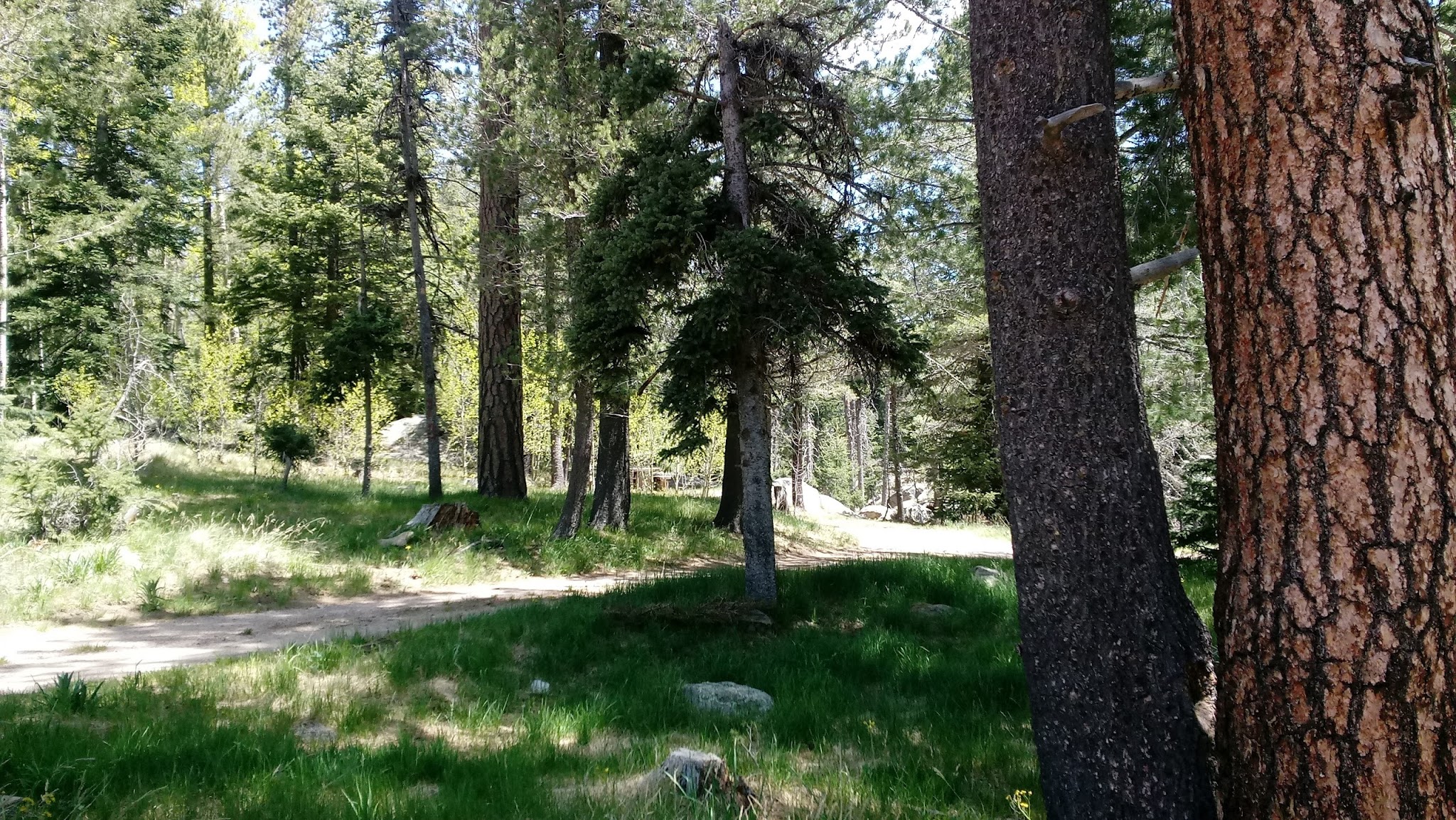 Soldier Creek Campground