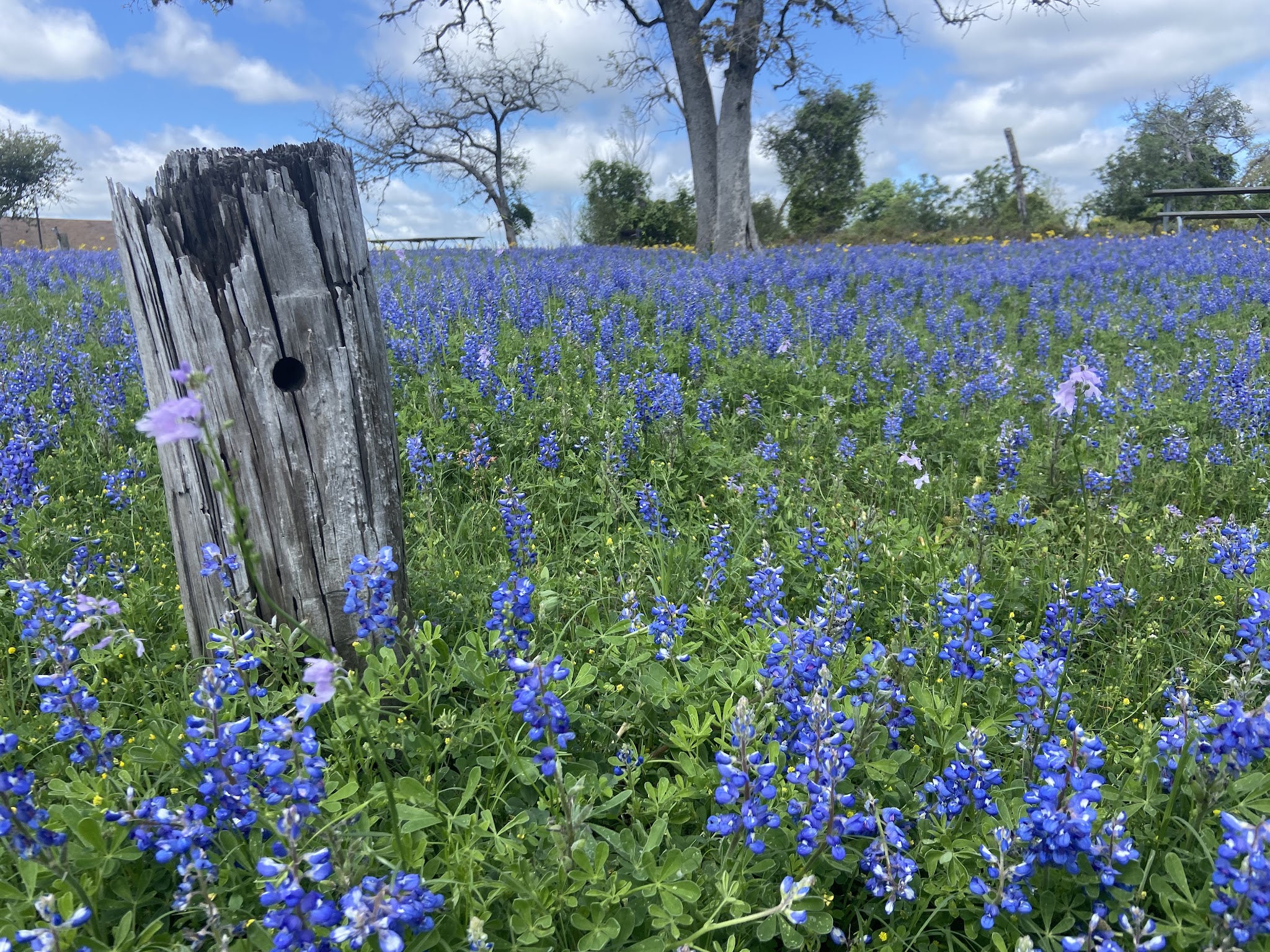 Lake Somerville State Park Birch Creek