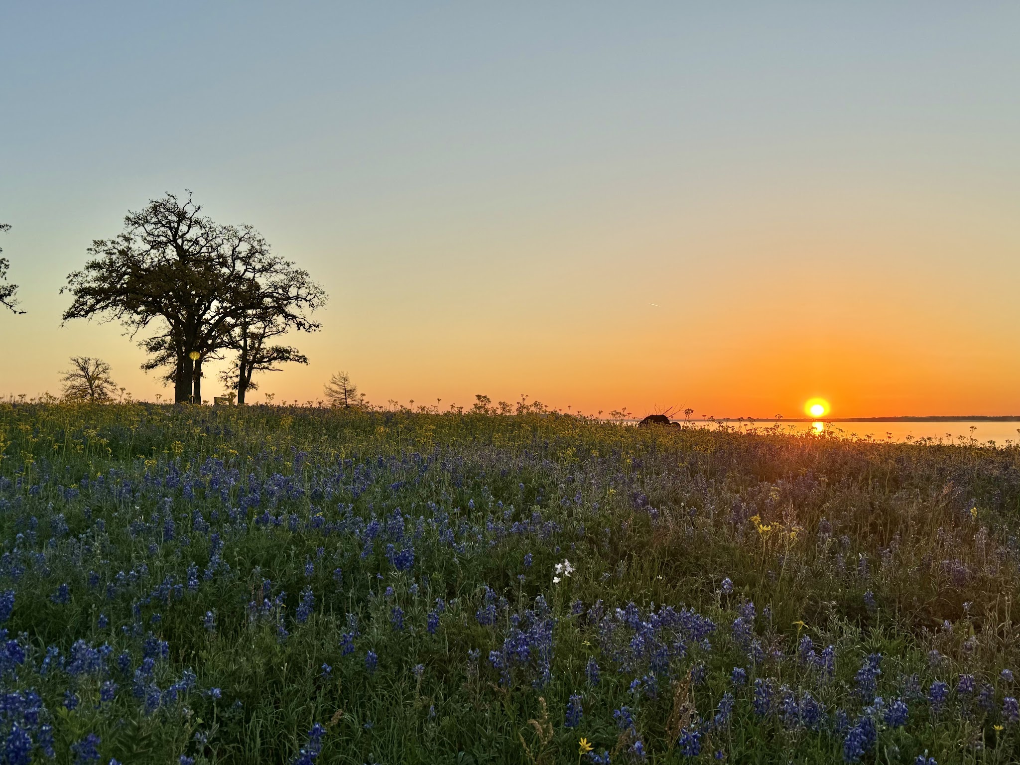 Lake Somerville State Park Nails Creek