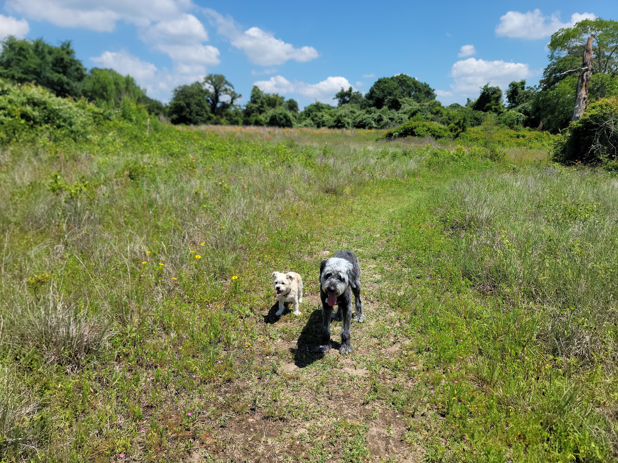 Lake Somerville State Park Birch Creek
