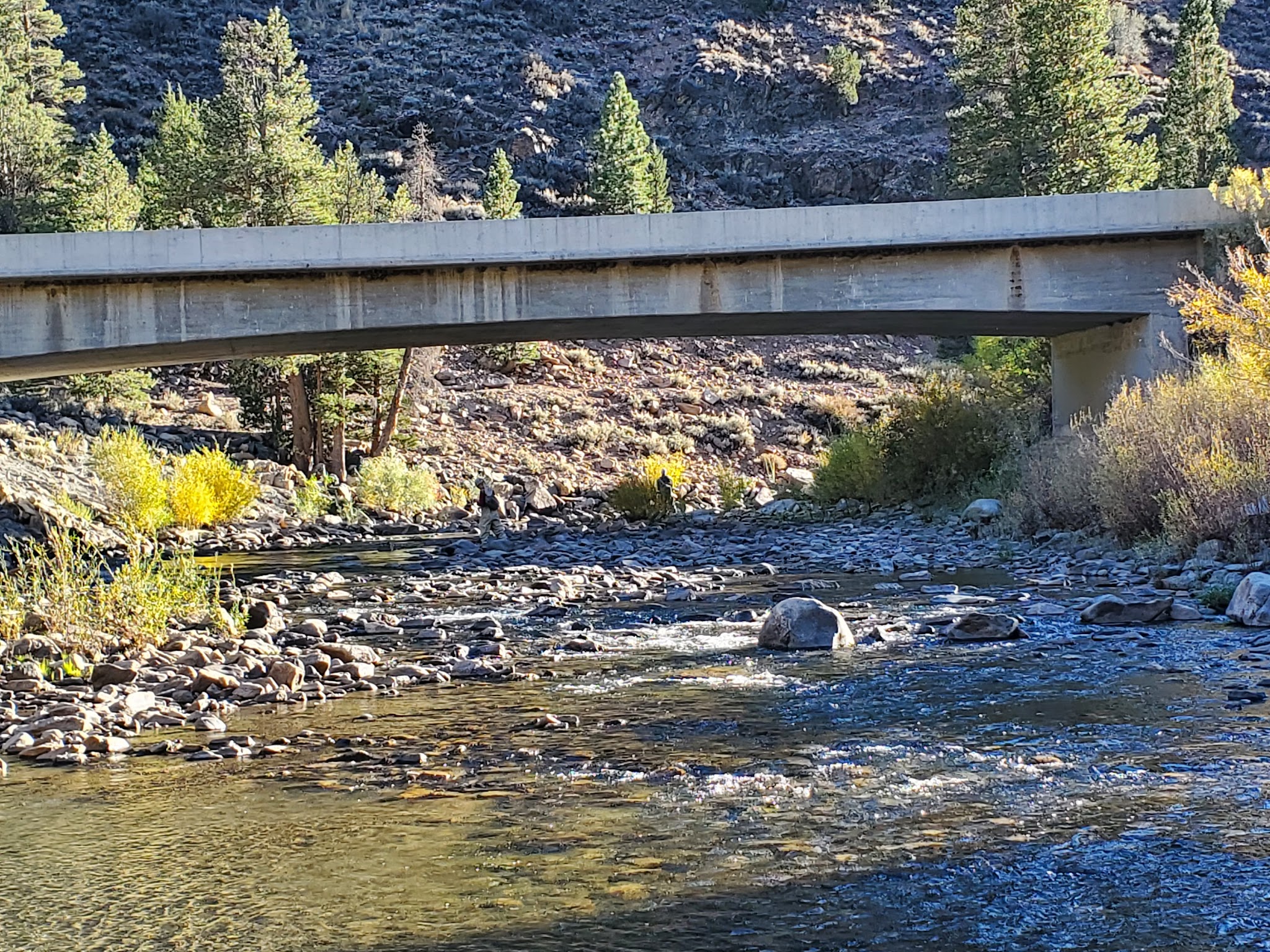 Sonora Bridge Campground