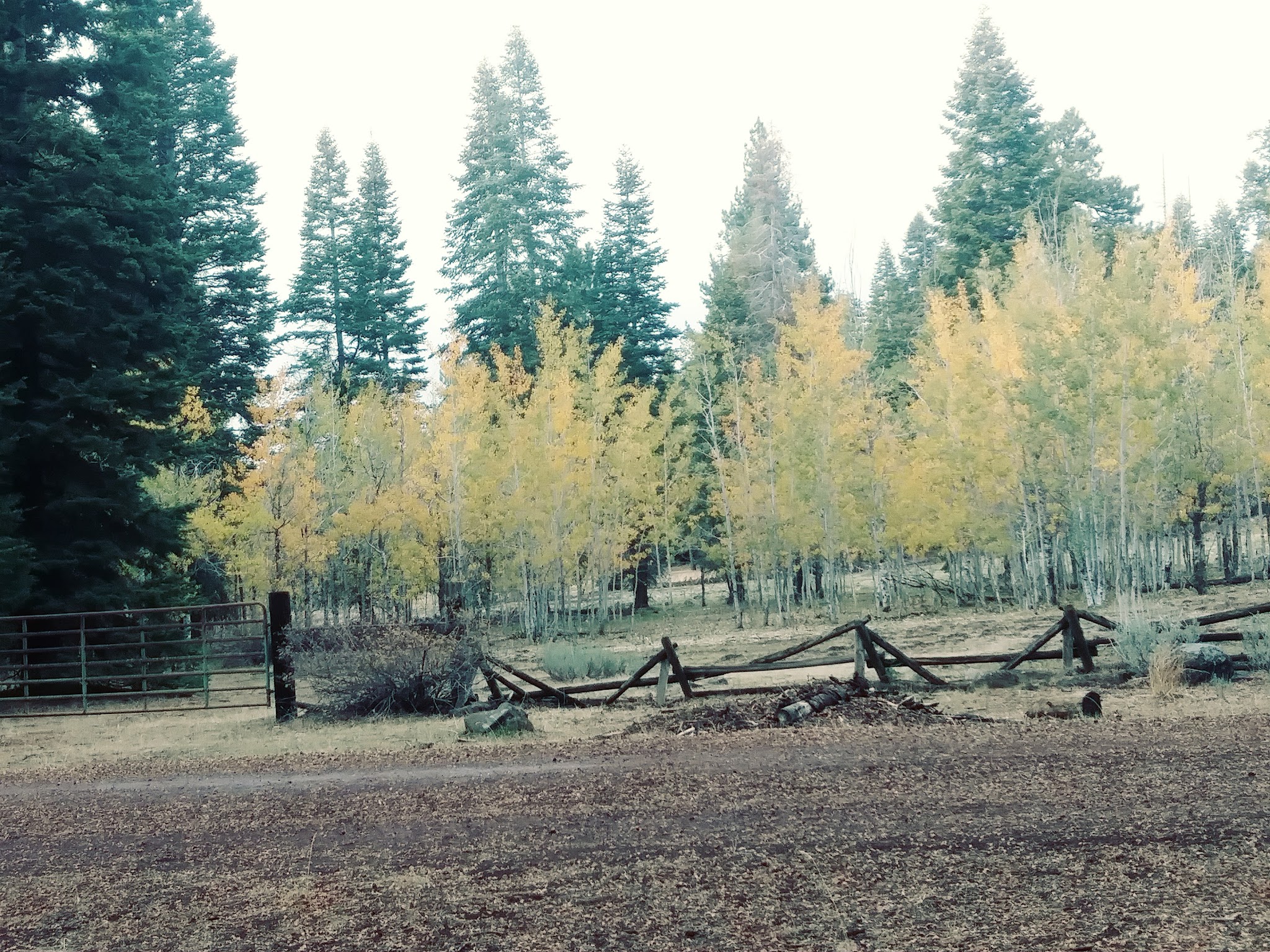 Soup Springs Campground