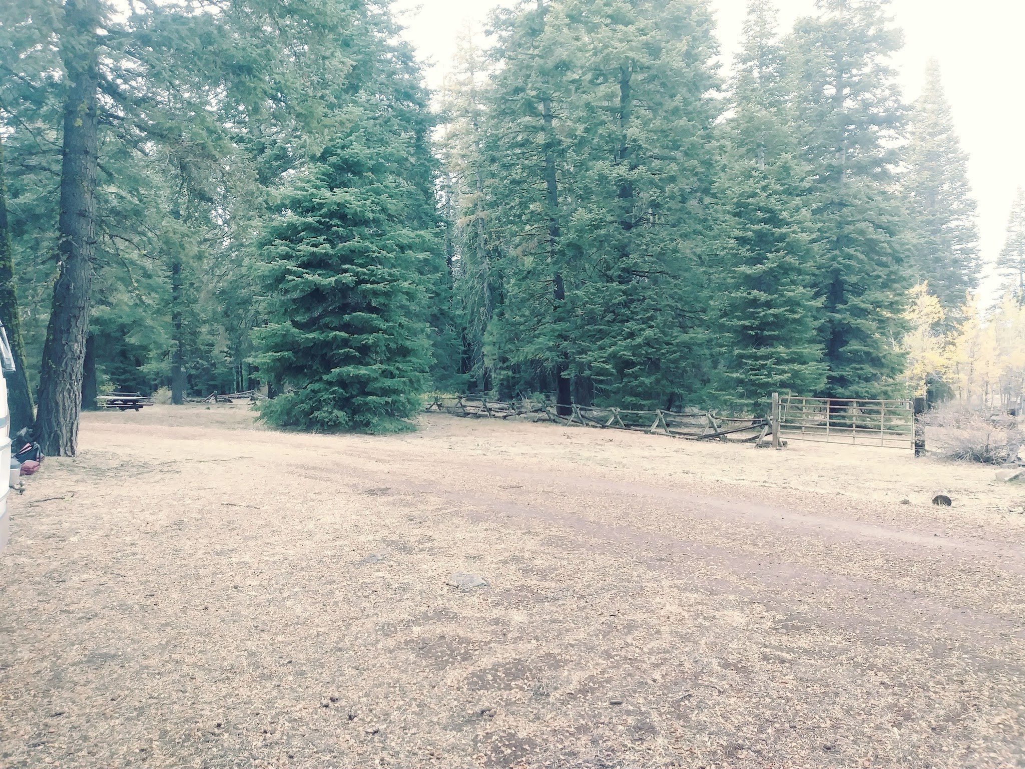 Soup Springs Campground