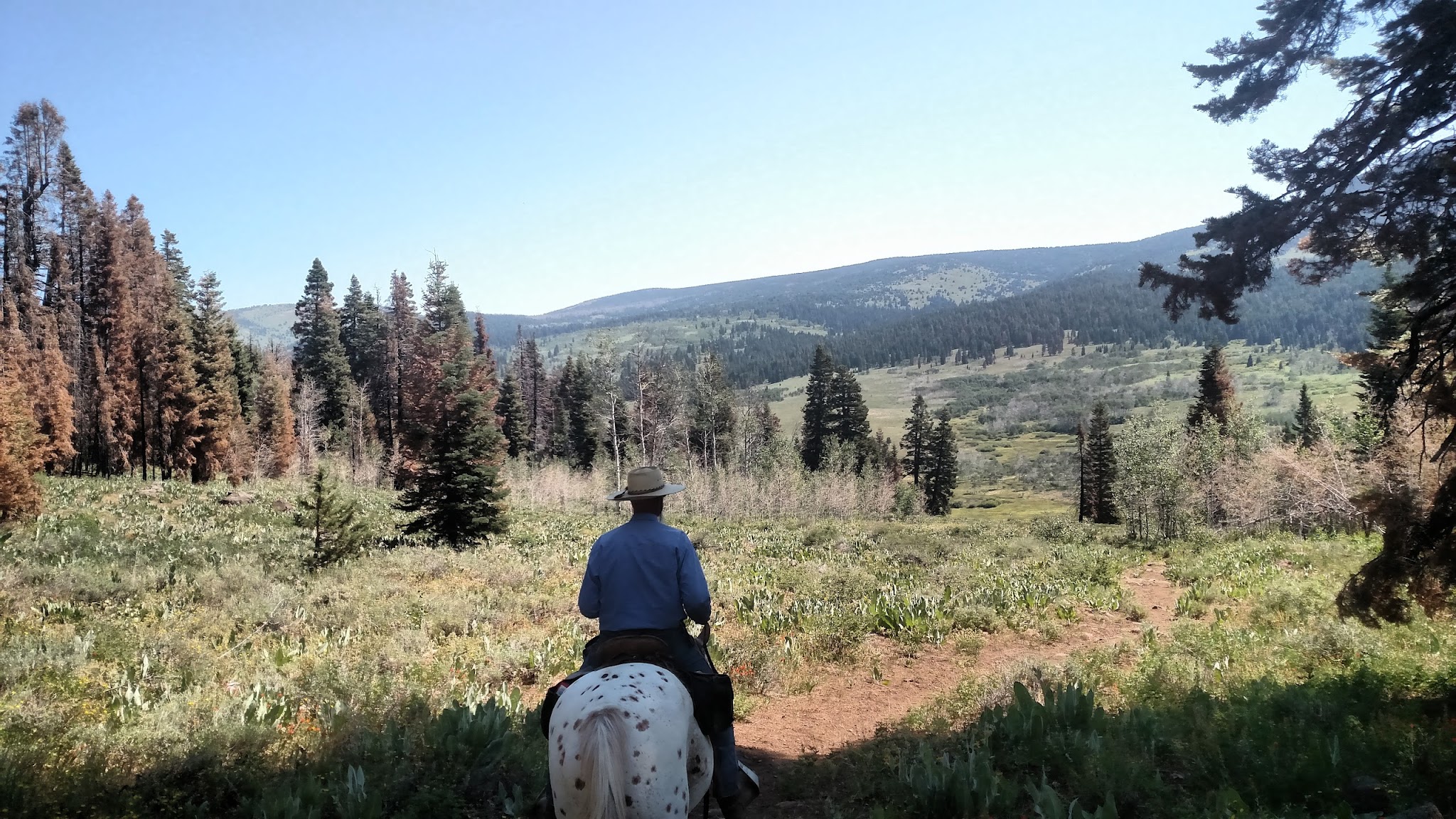 Soup Springs Campground