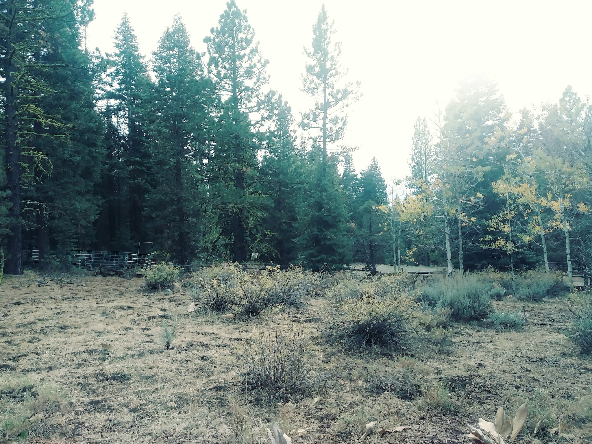 Soup Springs Campground