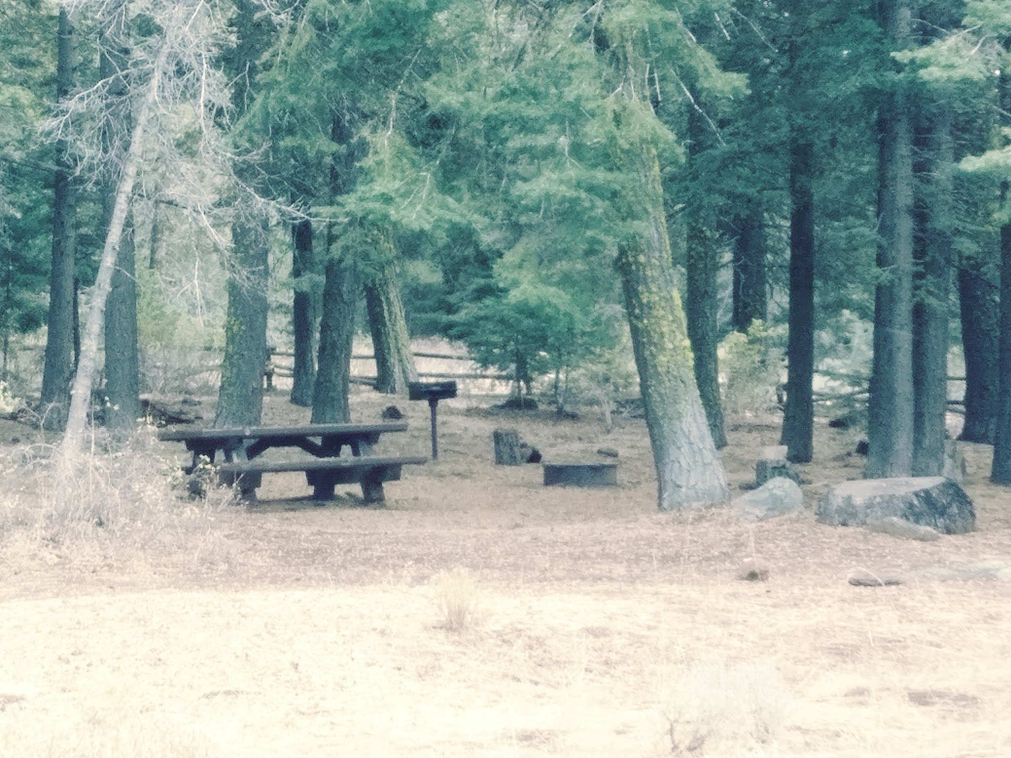Soup Springs Campground