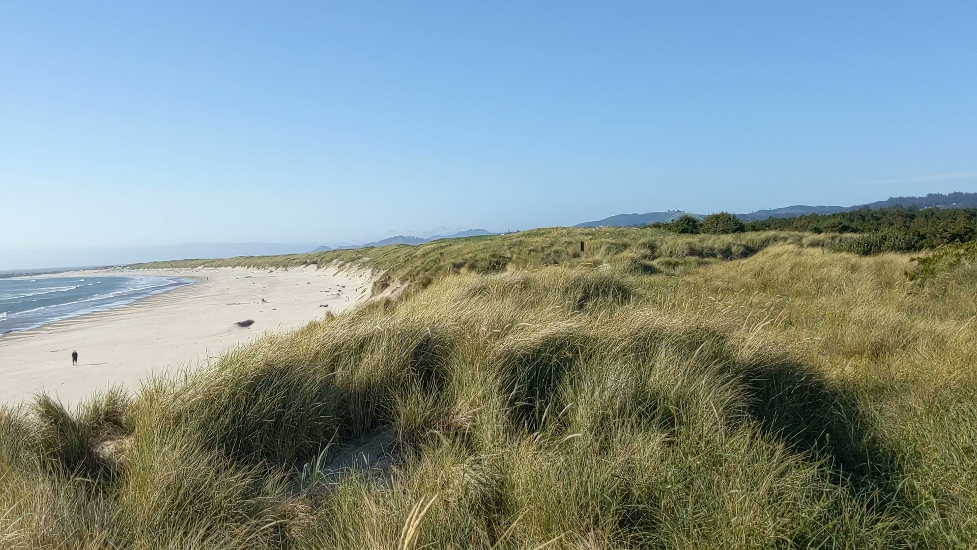 South Beach State Park