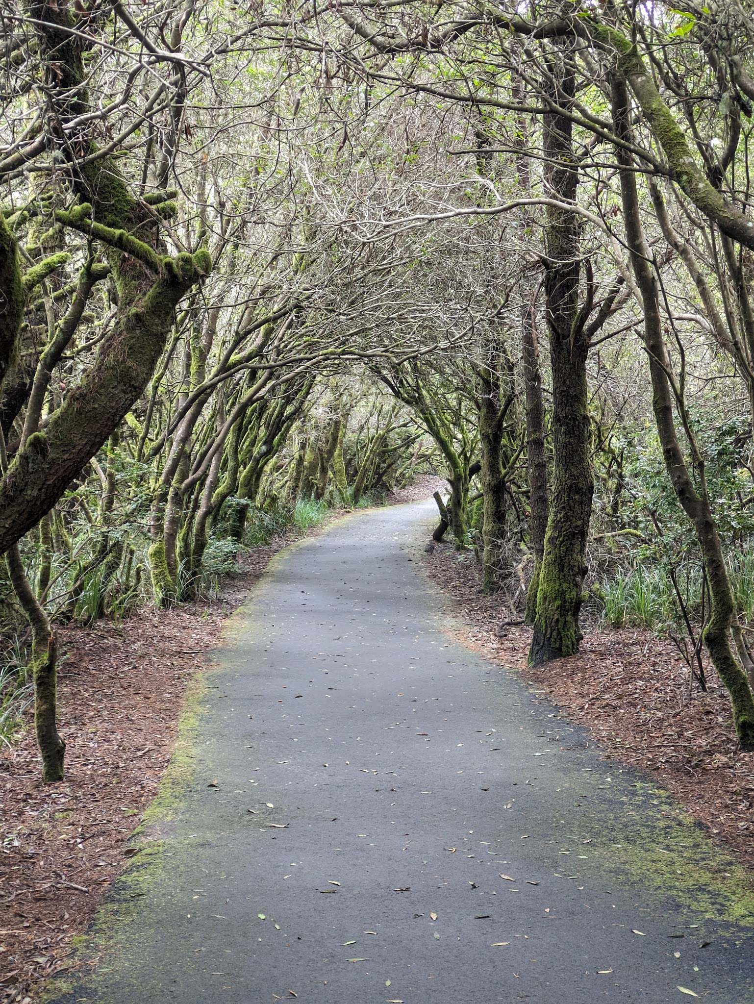 South Beach State Park
