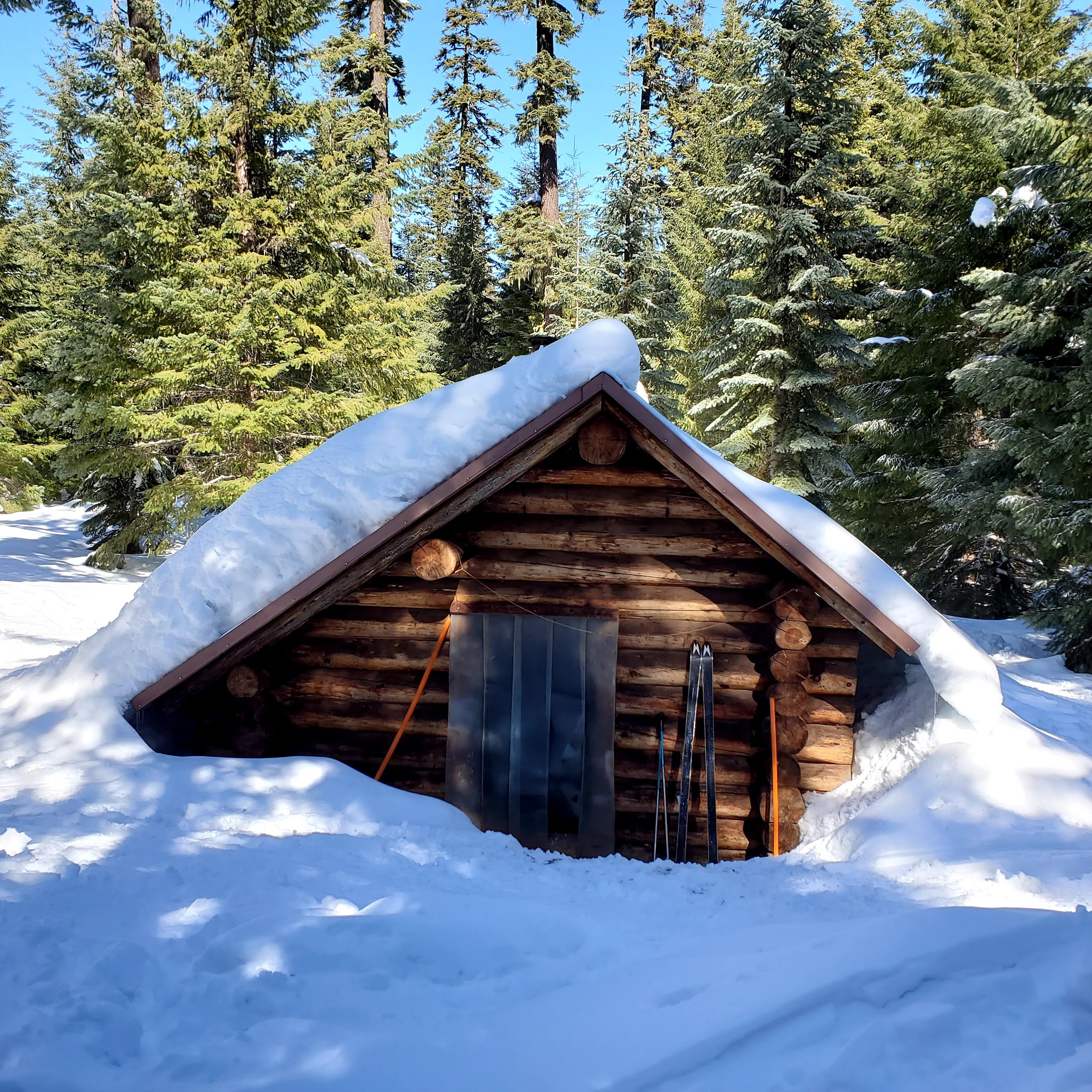 South Brown Mountain Shelter