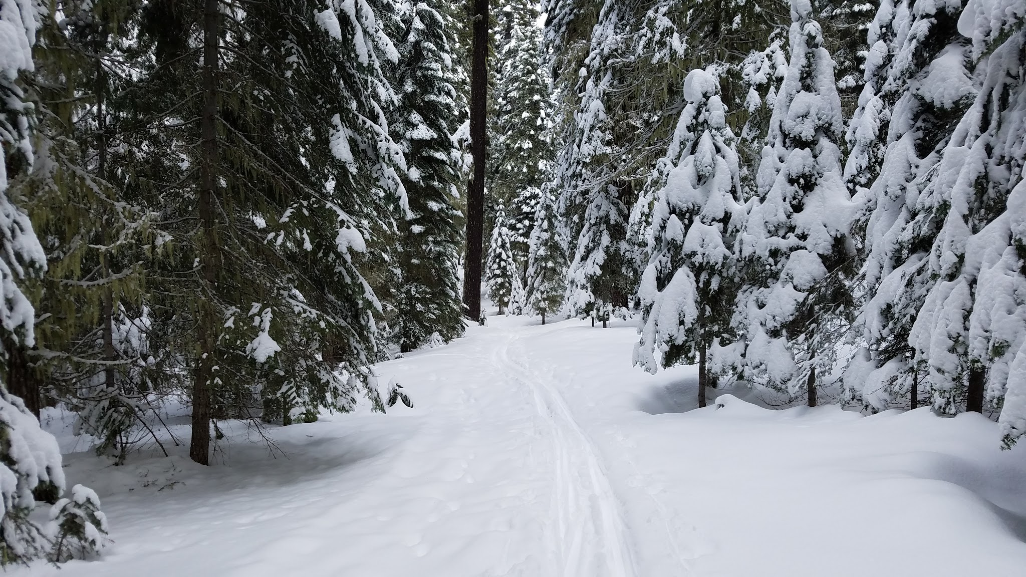 South Brown Mountain Shelter