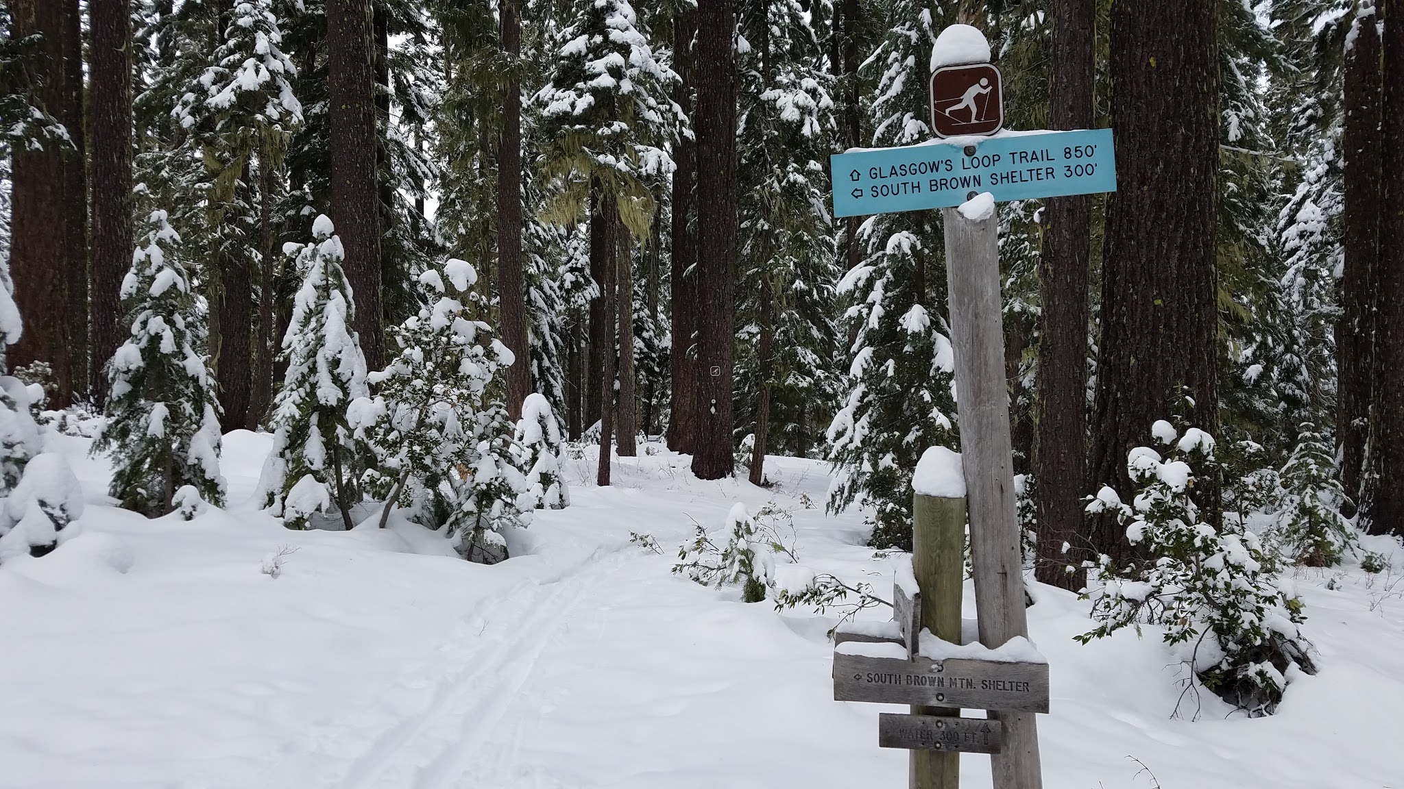 South Brown Mountain Shelter
