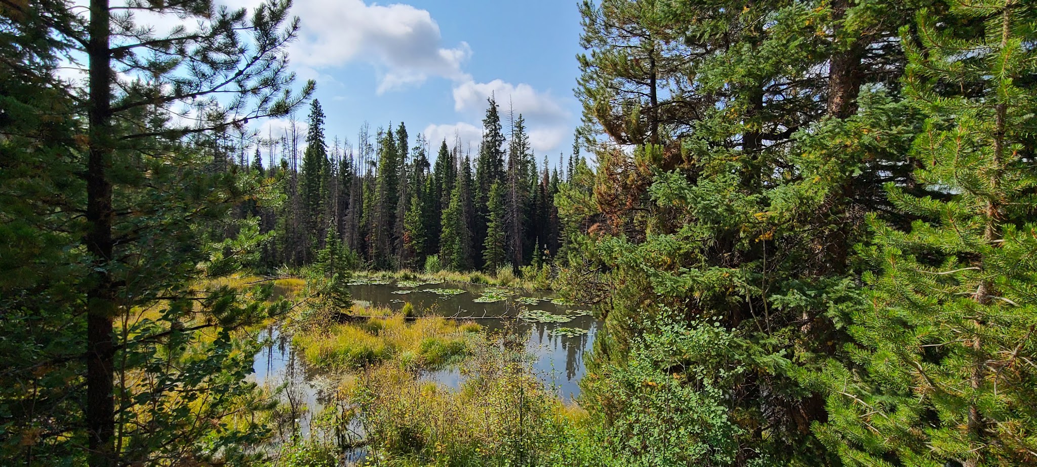 South Brush Creek Campground