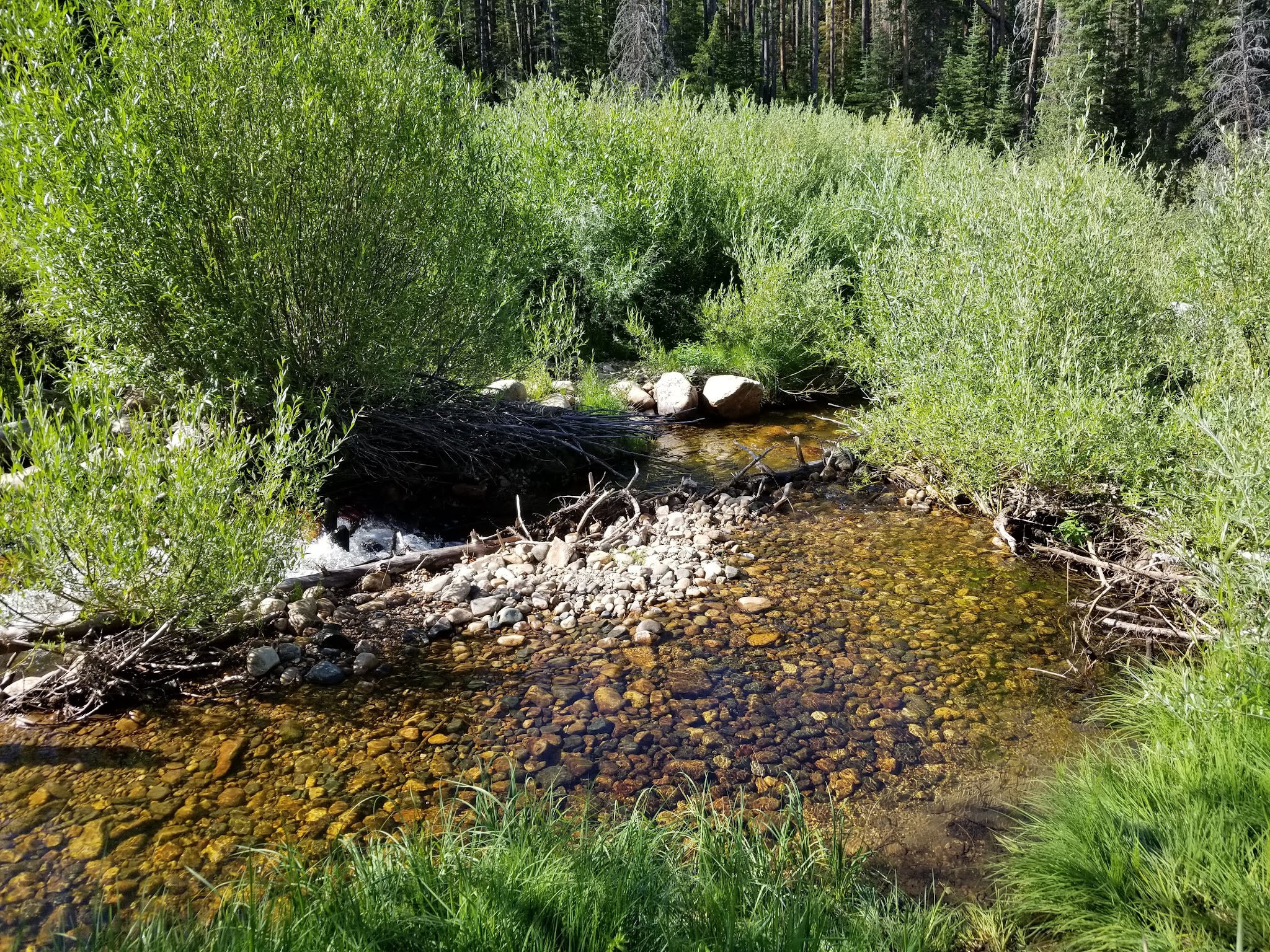 South Brush Creek Campground