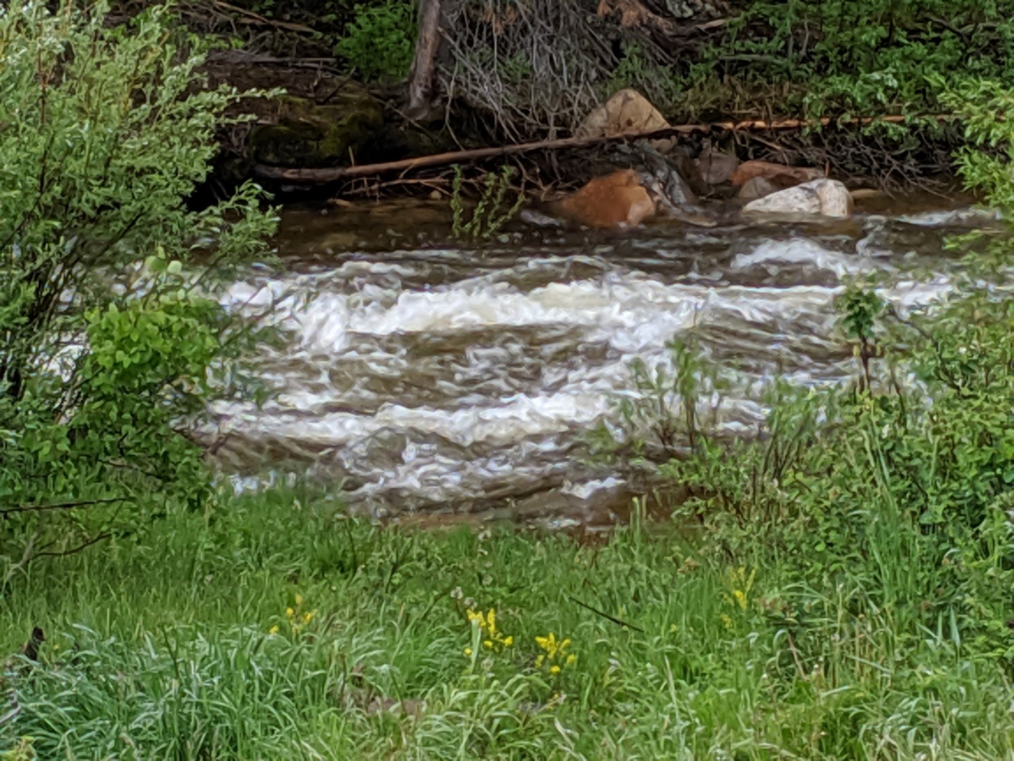 South Brush Creek Campground