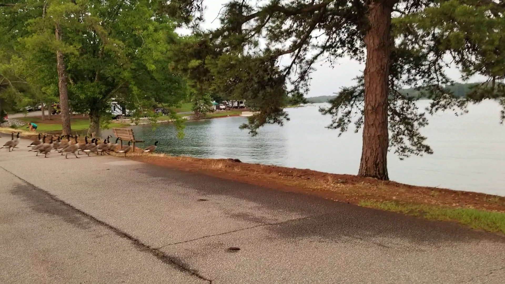 South Cove County Park