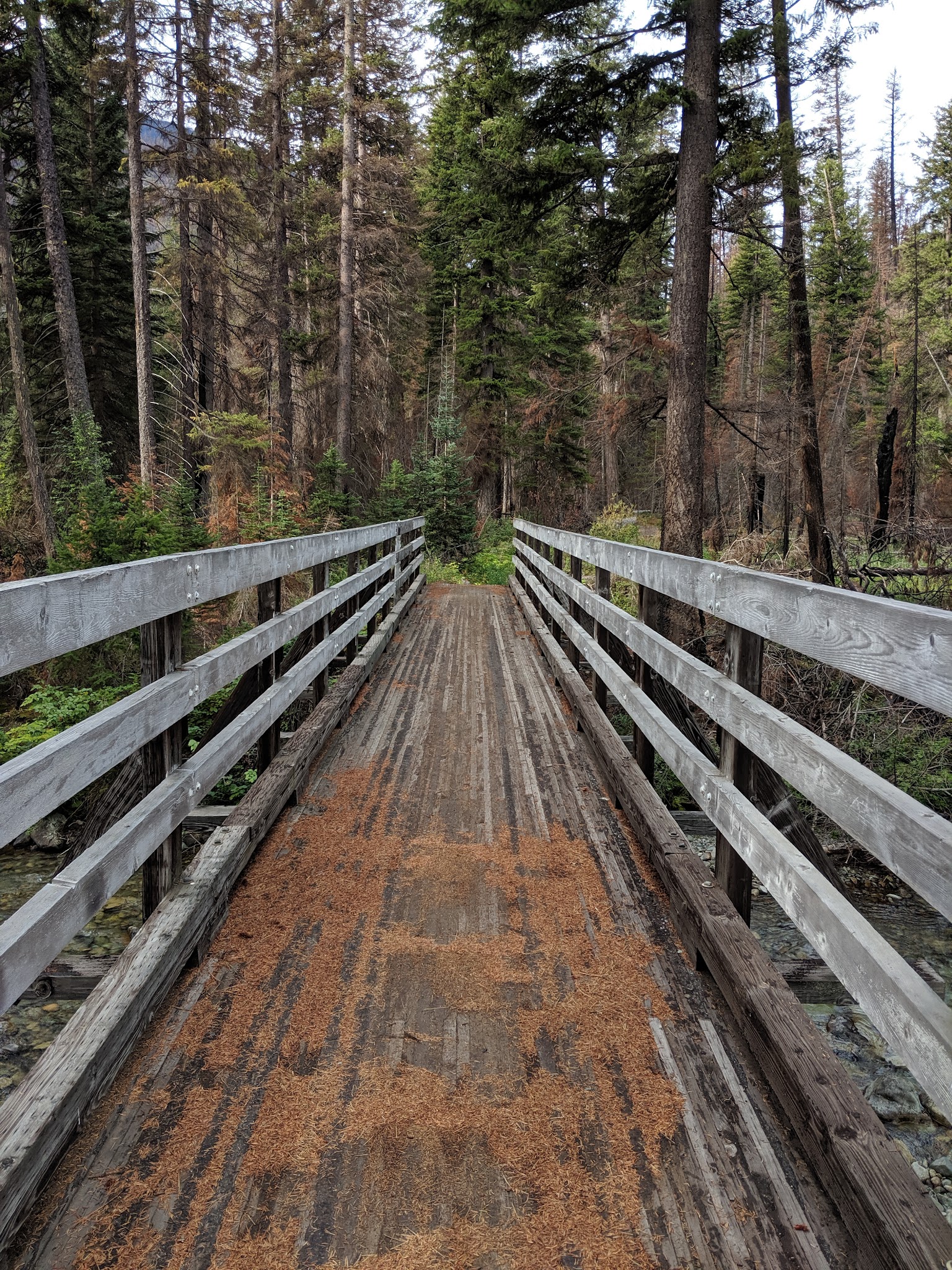 South Creek Campground