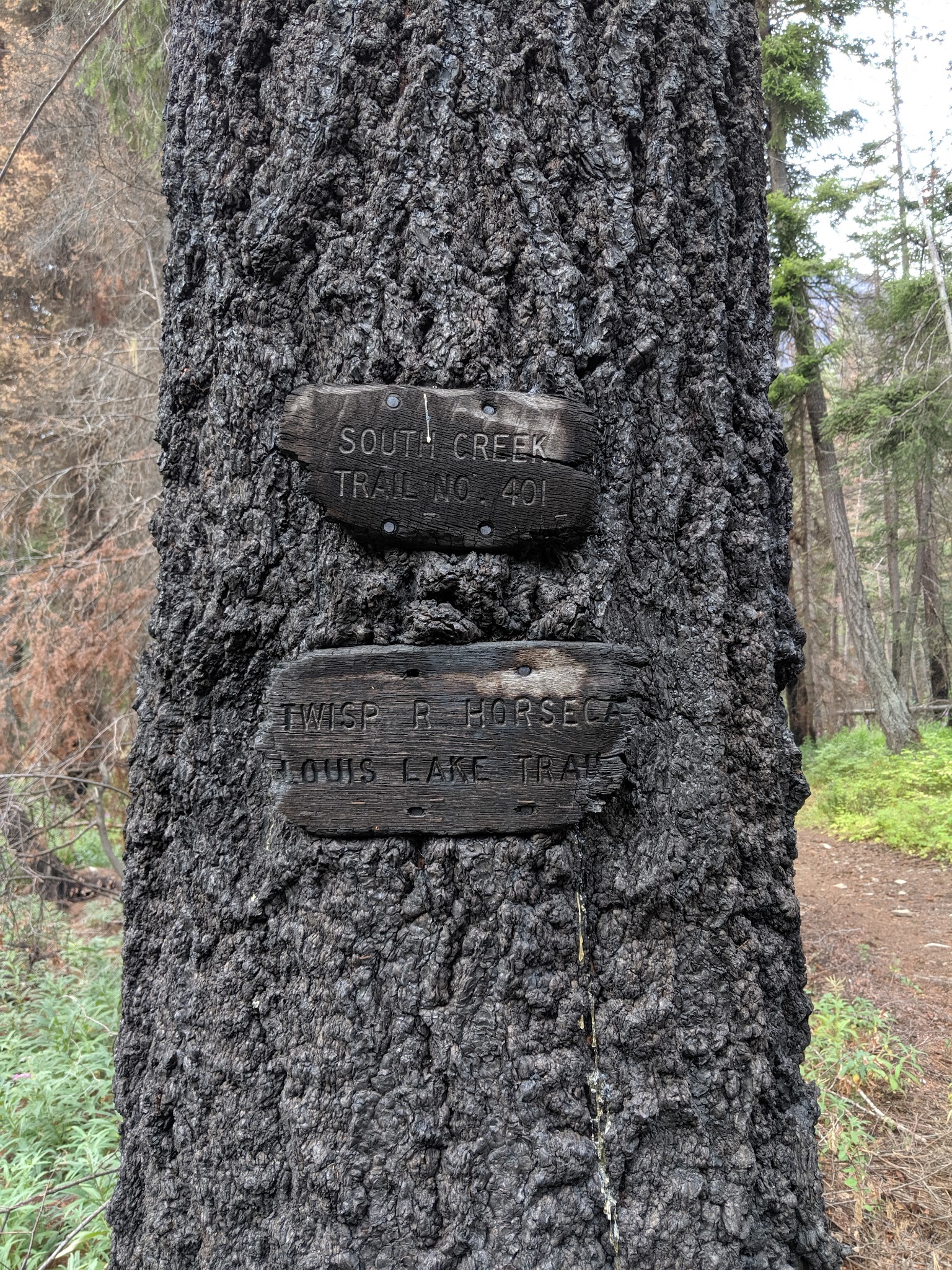 South Creek Campground