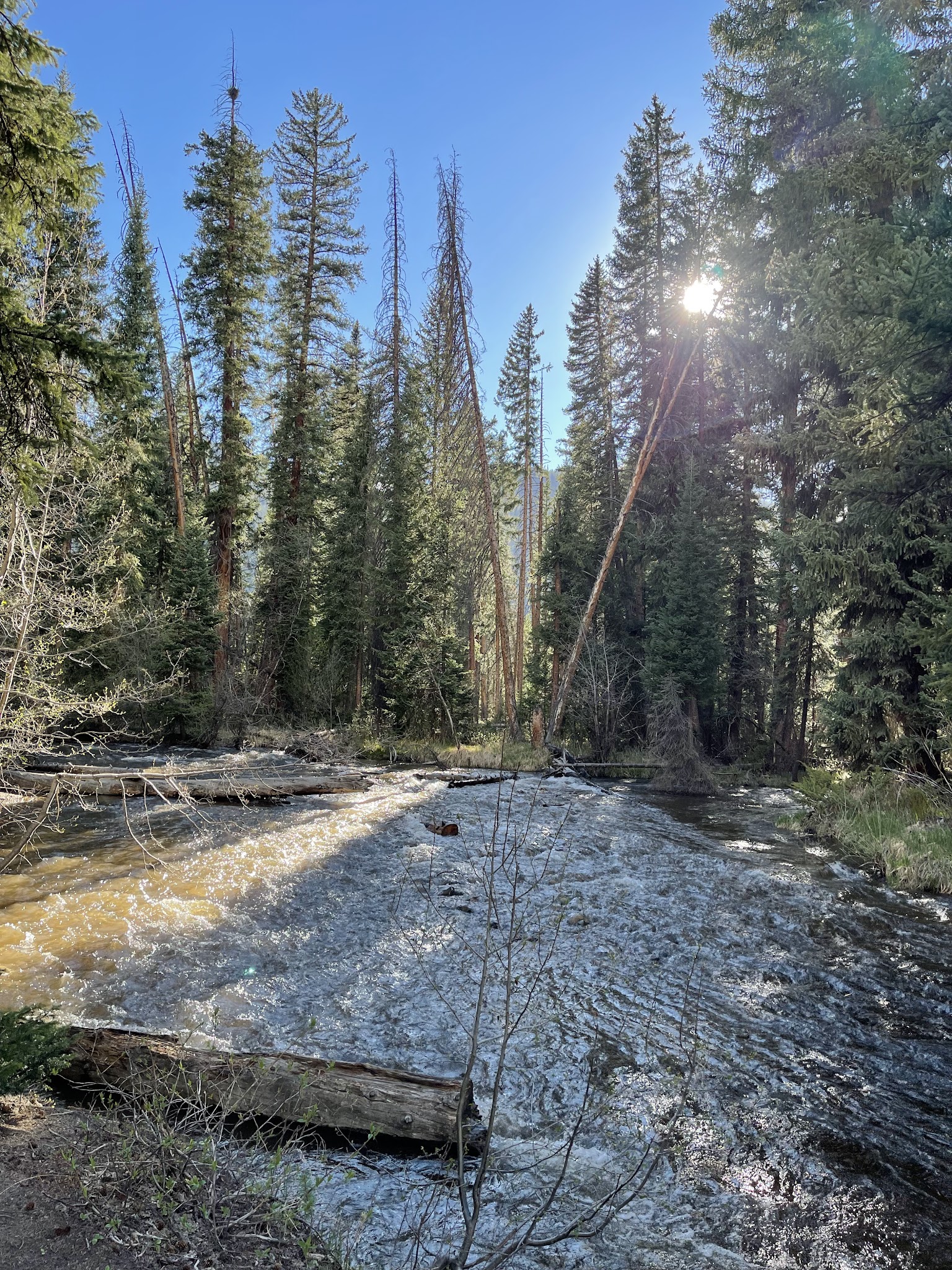 South Fork Group Site - Arapaho Nf (Co)