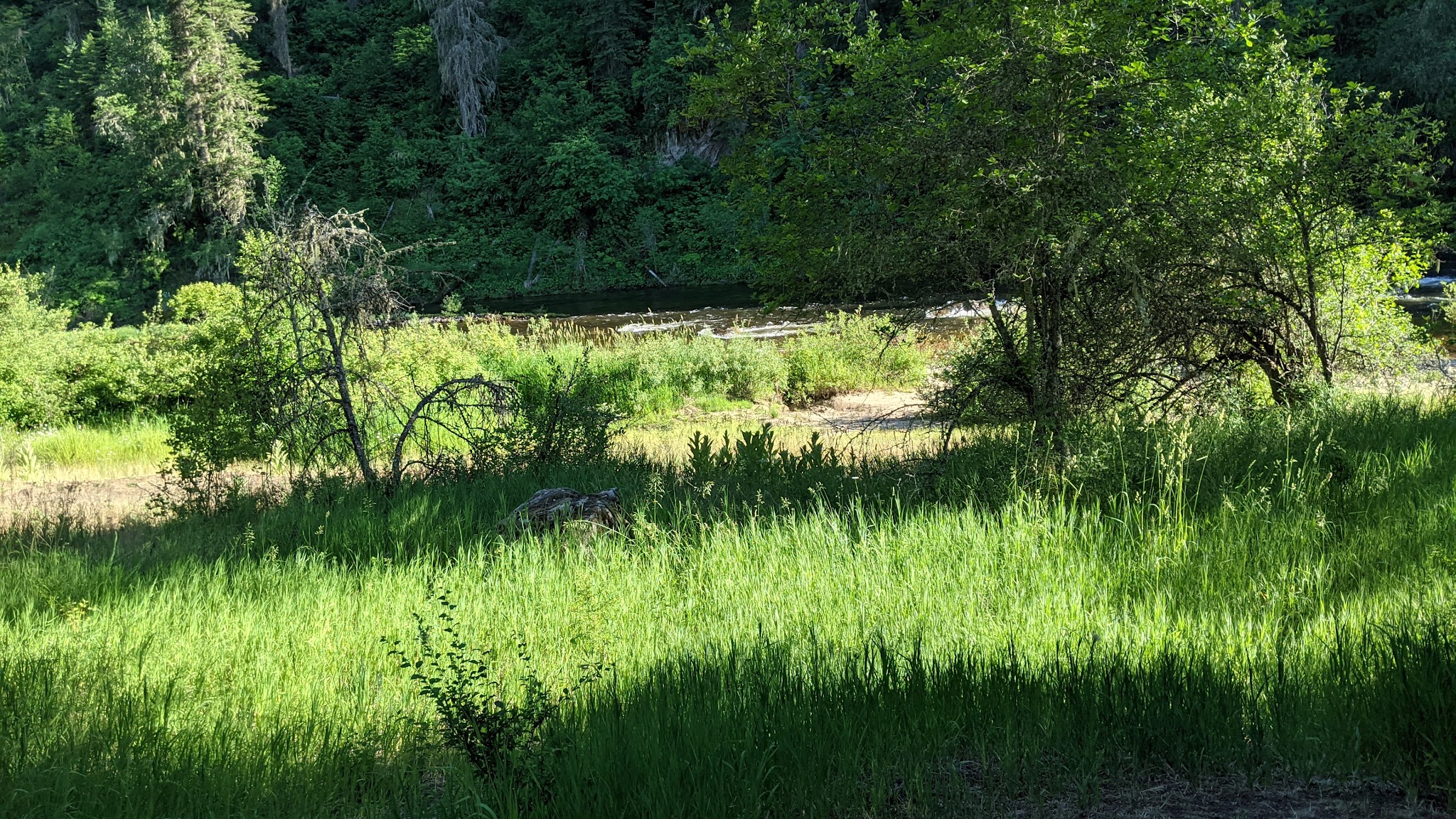 South Fork Campground