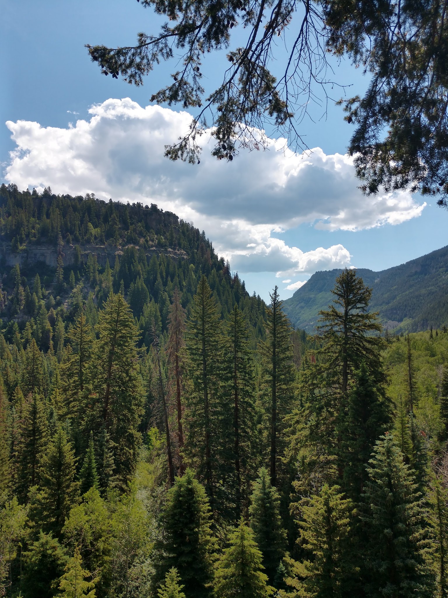 South Fork Campground & Trailhead
