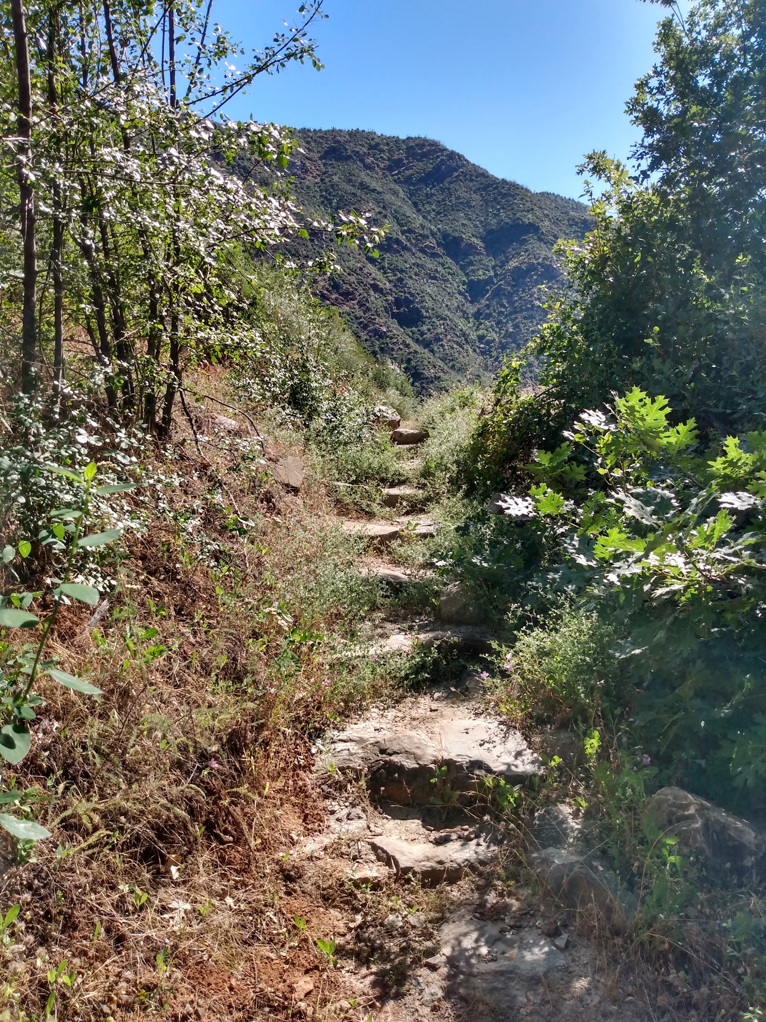 South Fork Campground