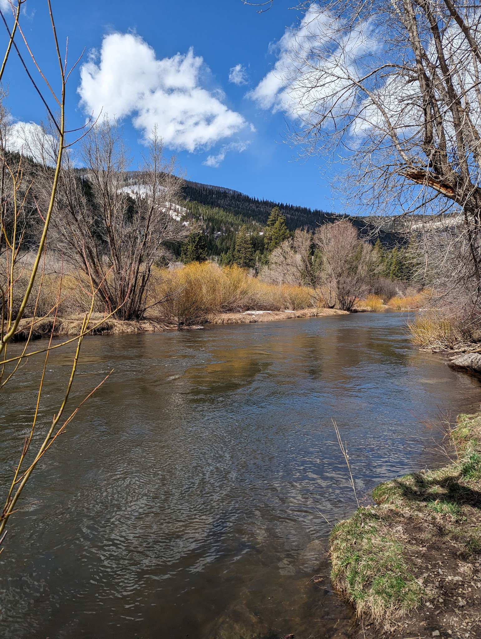South Fork Campground & Trailhead