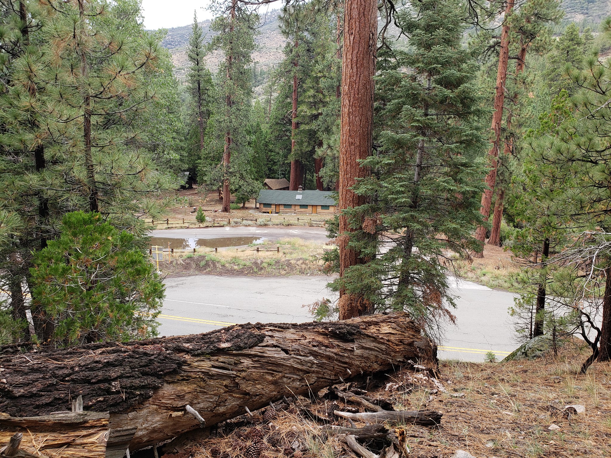 South Fork Family Campground