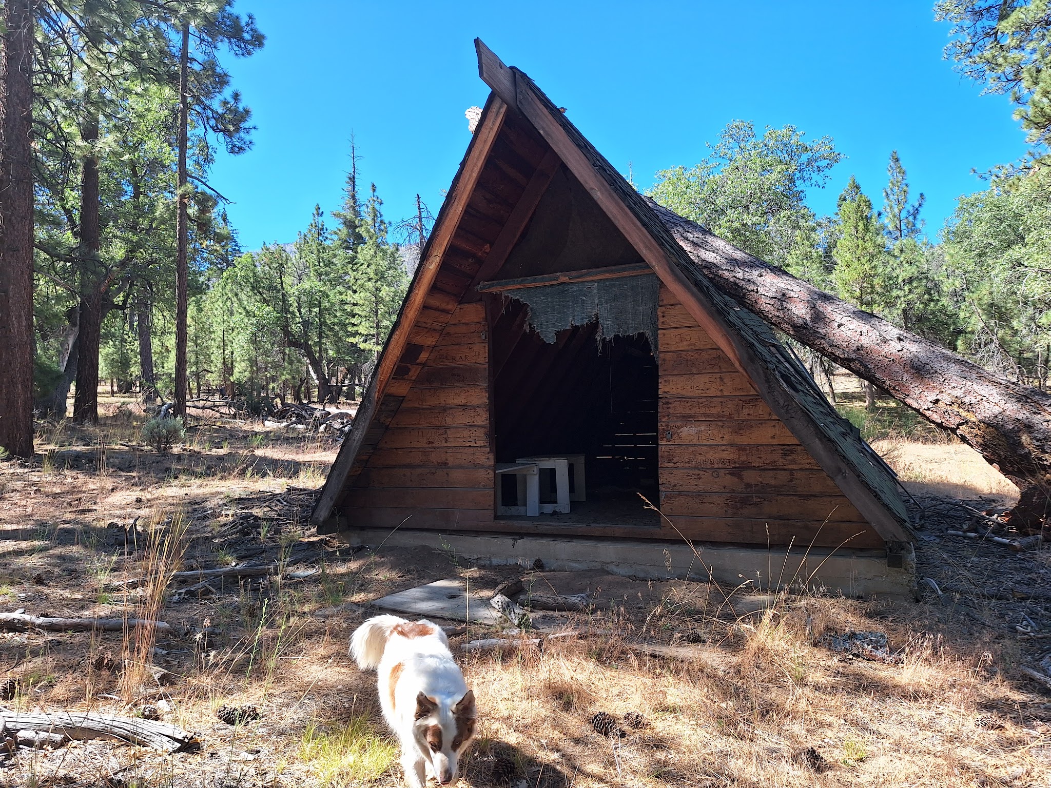 South Fork Family Campground