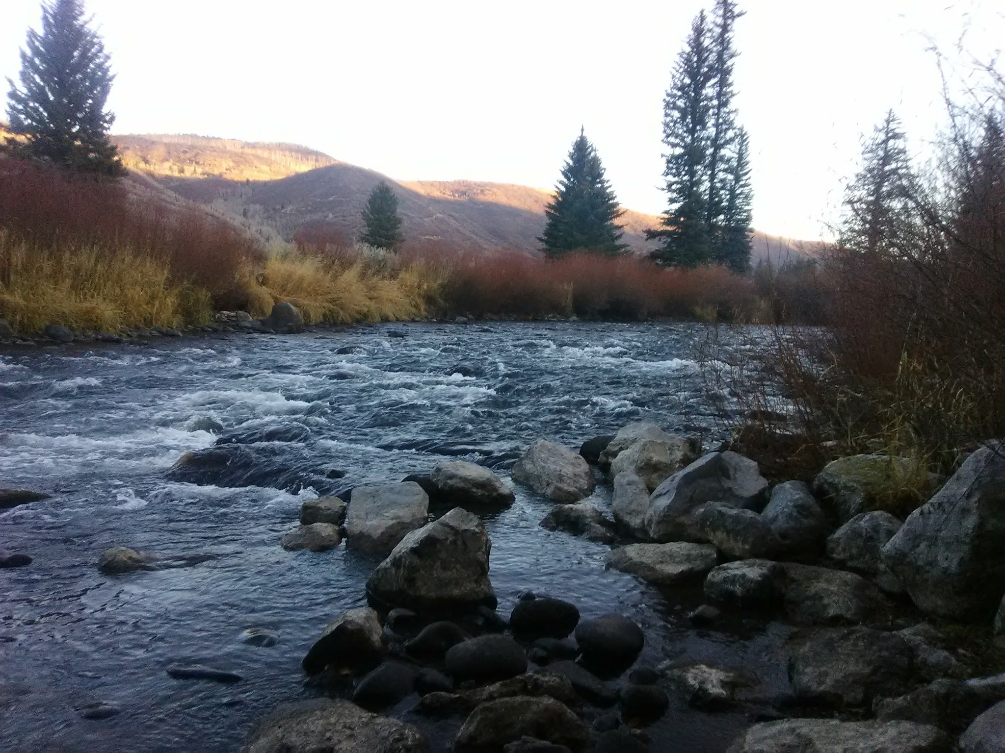 South Fork Campground & Trailhead