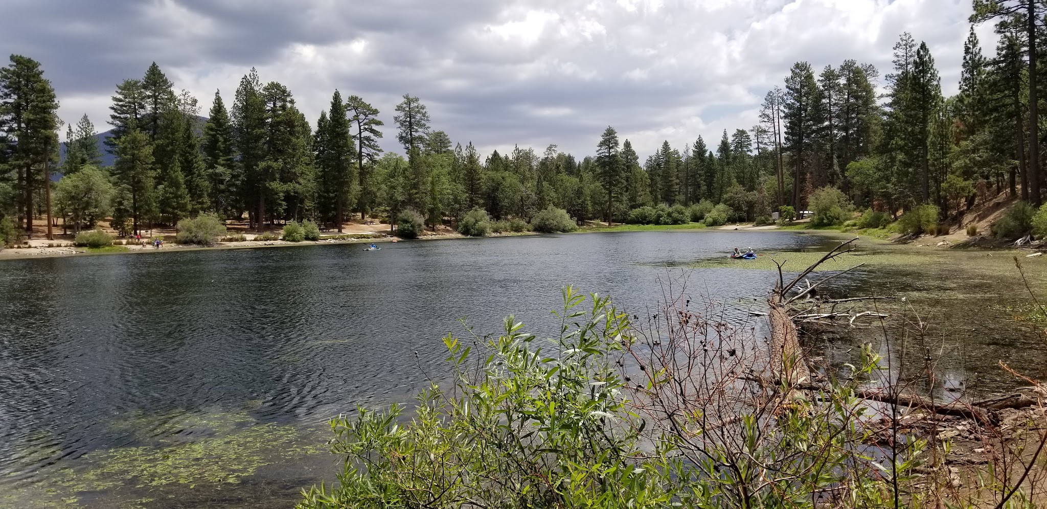 South Fork Family Campground