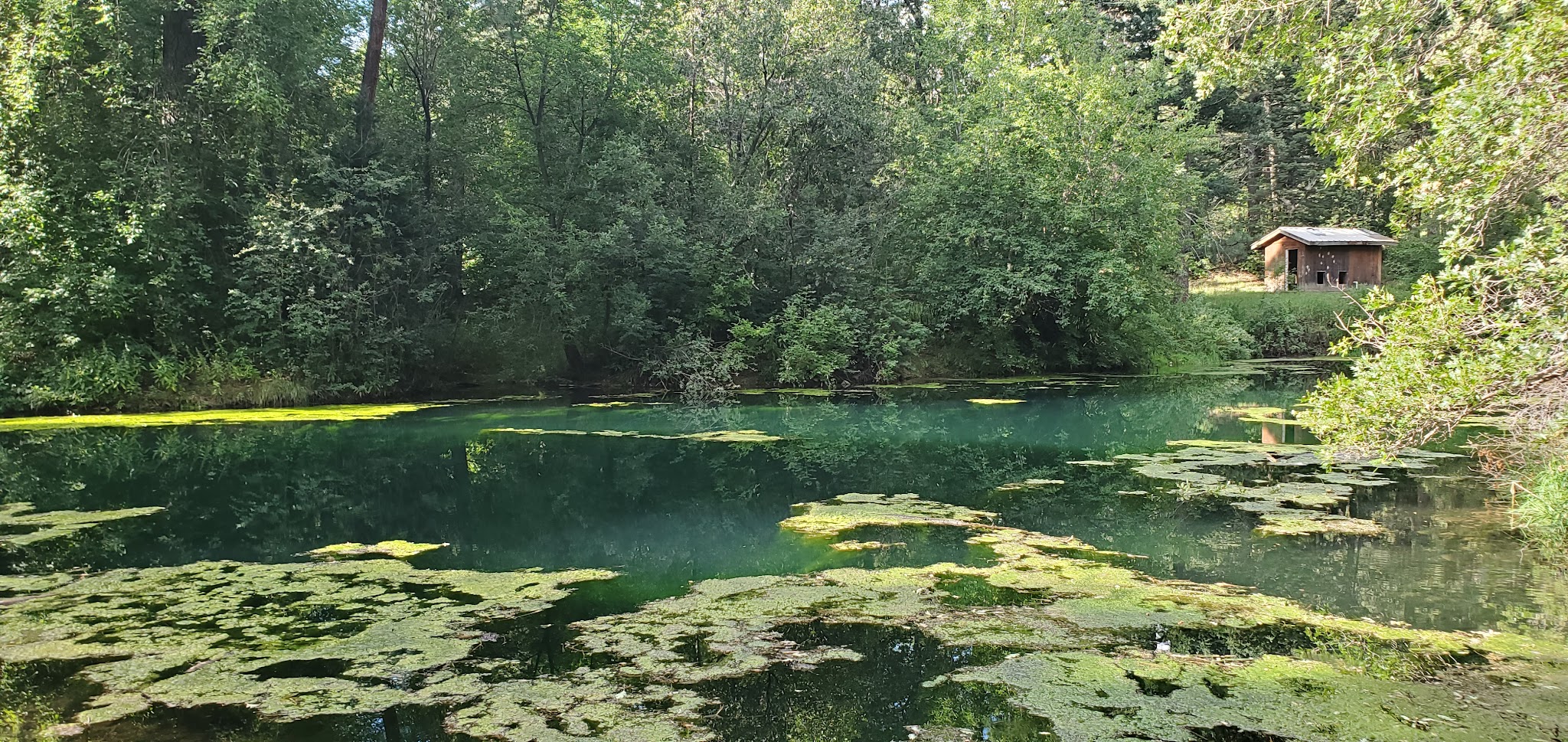 South Fork Campground